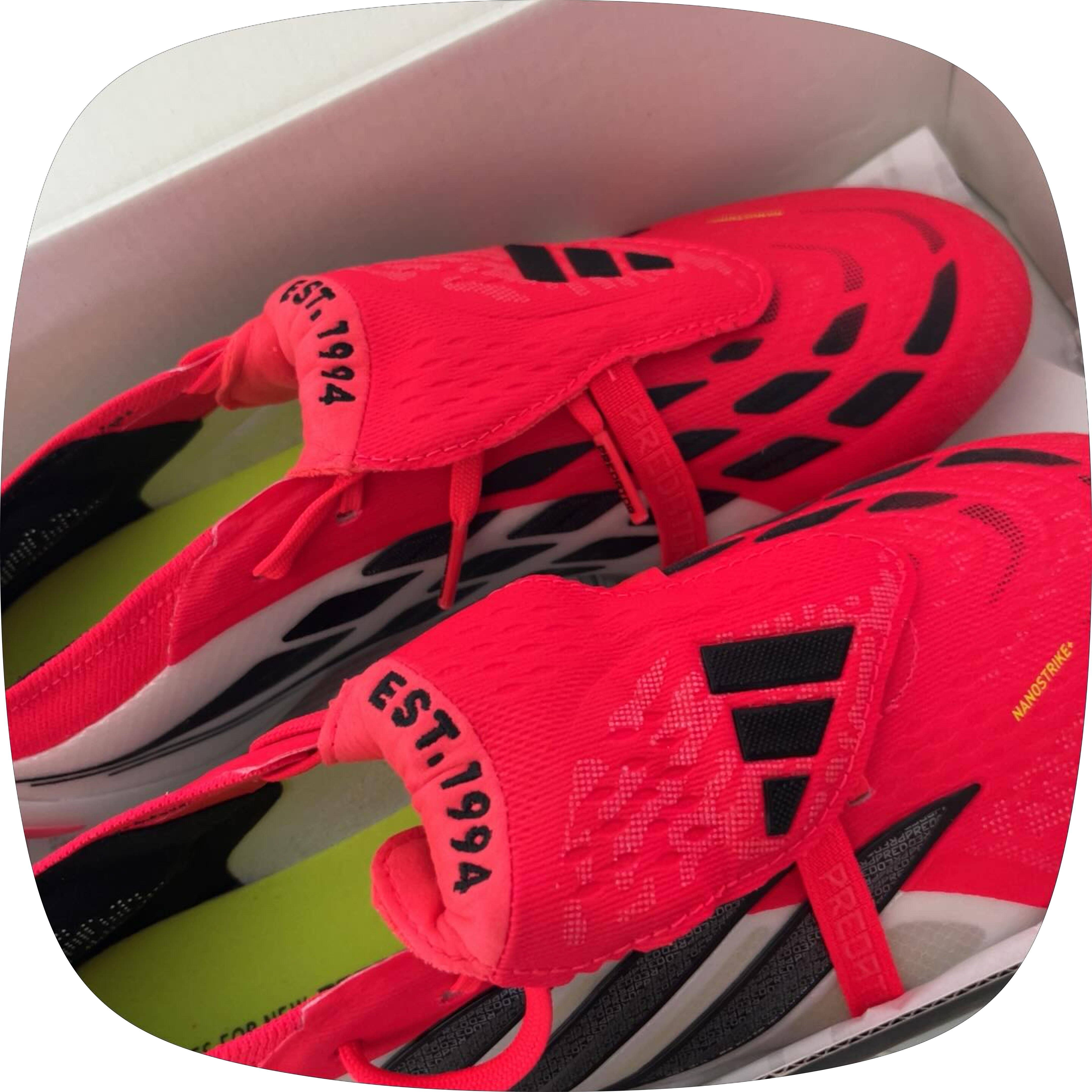 Adidas Predator Elite FT FG Lucid Red Core Black 착용 스타일