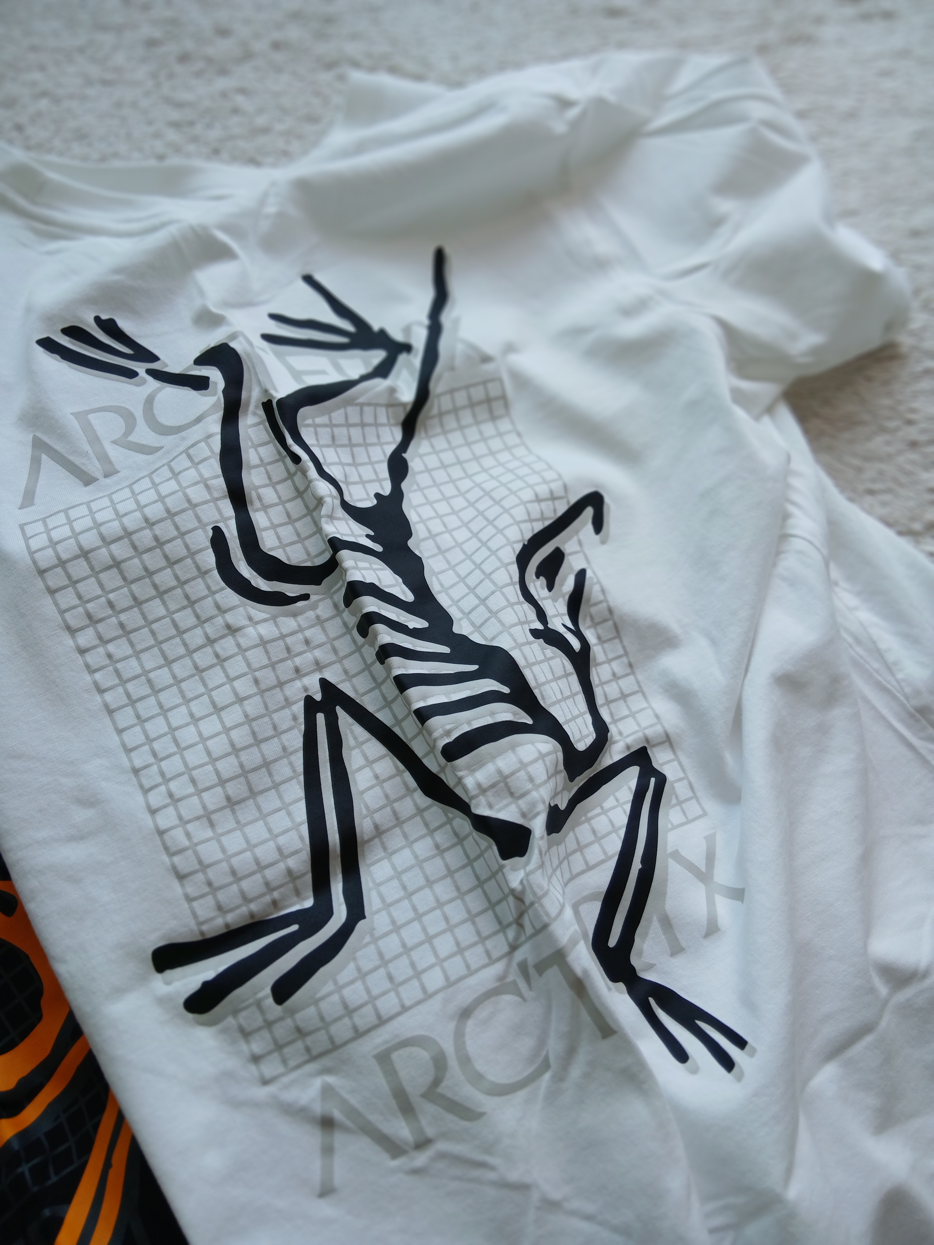 Arc'teryx Bird Word Trucker Hat Black Cloud, Arc'teryx Arc'Multi Bird Logo SS T-Shirt White Light 착용 스타일 - 2
