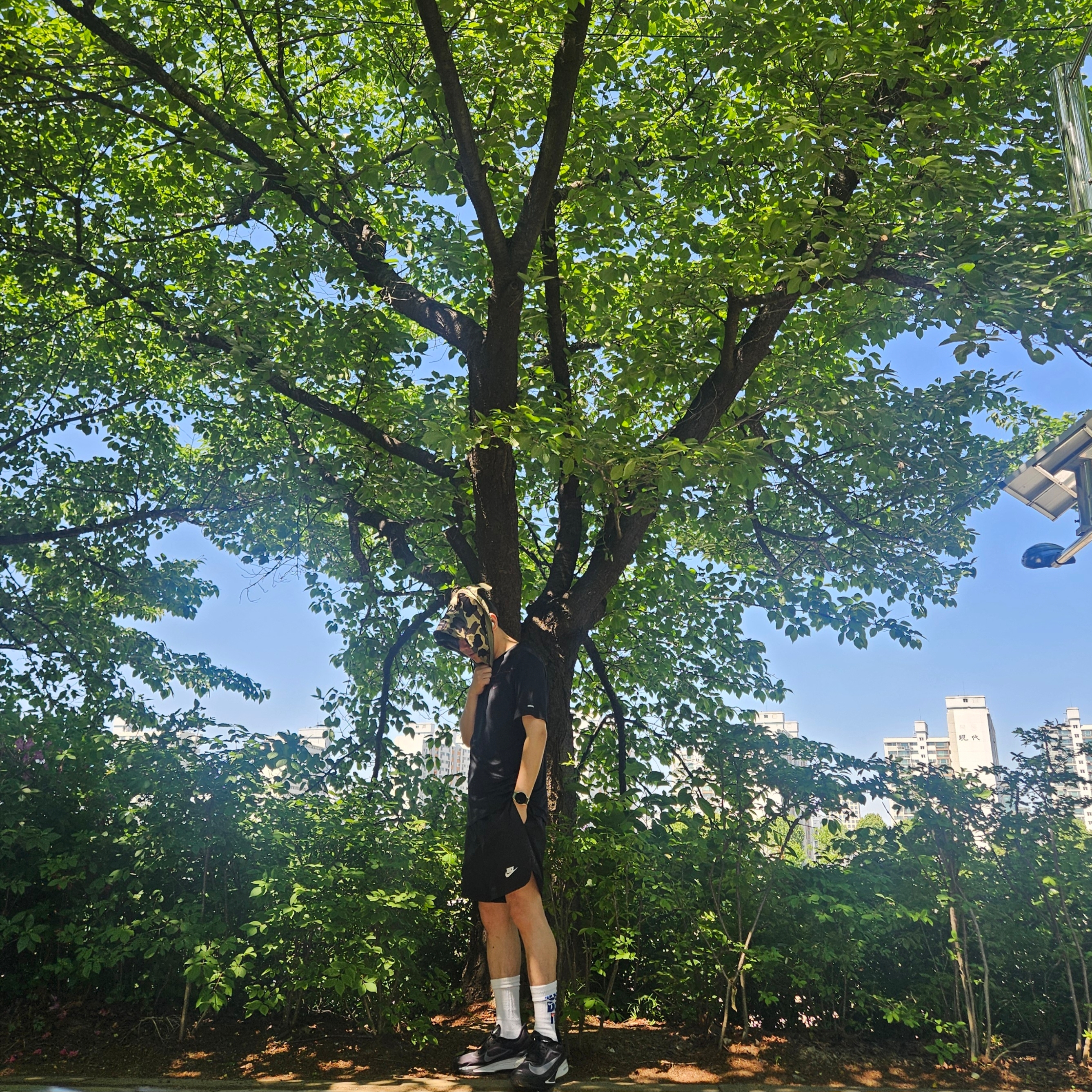Nike NSW Woven Shorts Black - Asia, Nike Zoom Fly 6 Black Light Smoke Grey 착용 스타일