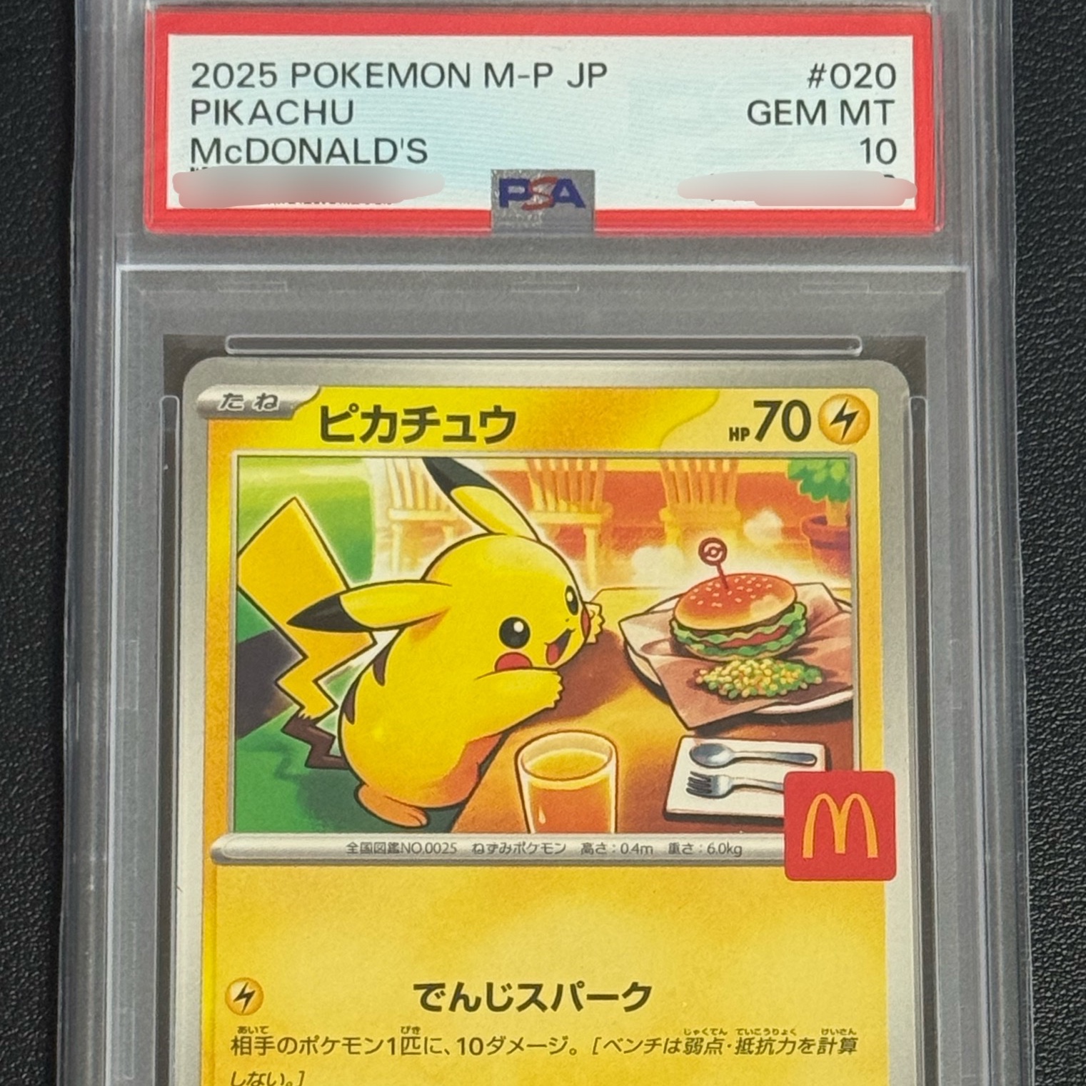 Pokemon TCG Pikachu P Mega Evolution Promos (Japanese Ver.) 착용 스타일