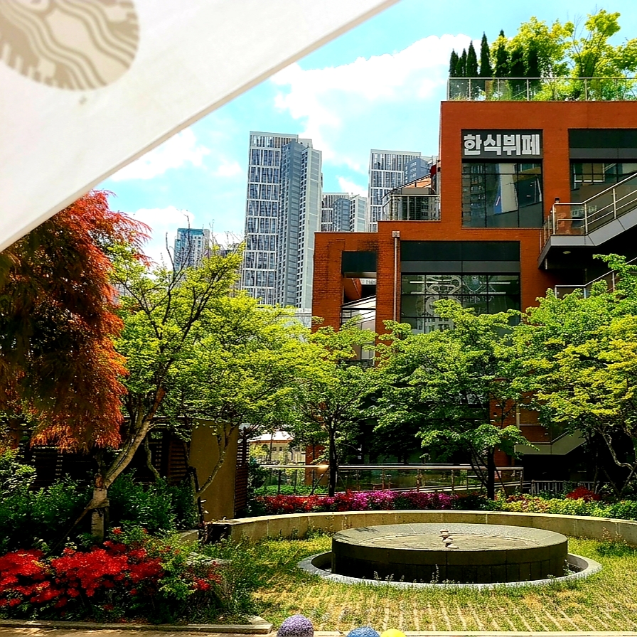 Starbucks Daily 3 Step Umbrella Apple Mint 착용 스타일 - 1