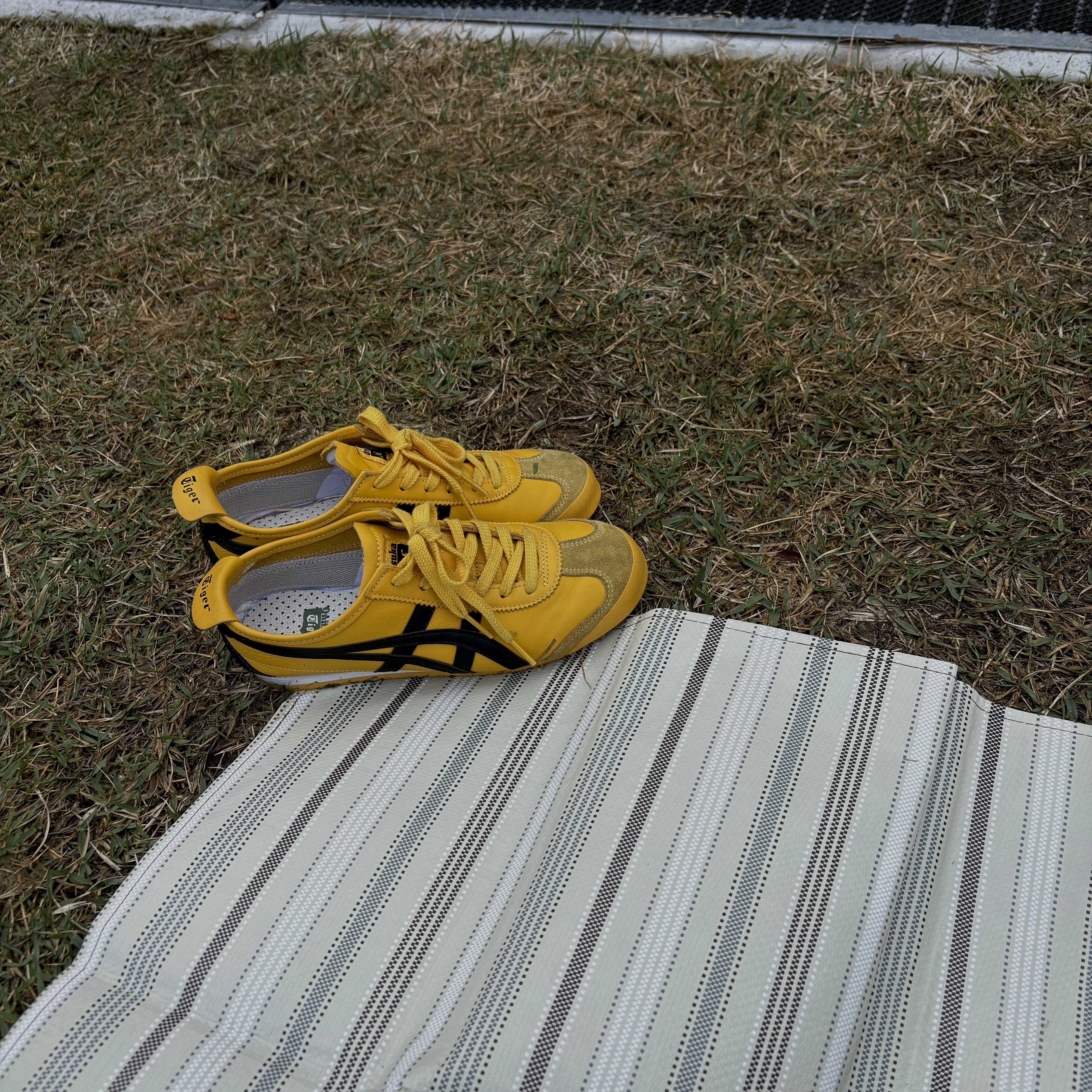 Onitsuka Tiger Mexico 66 Yellow Black 착용 스타일