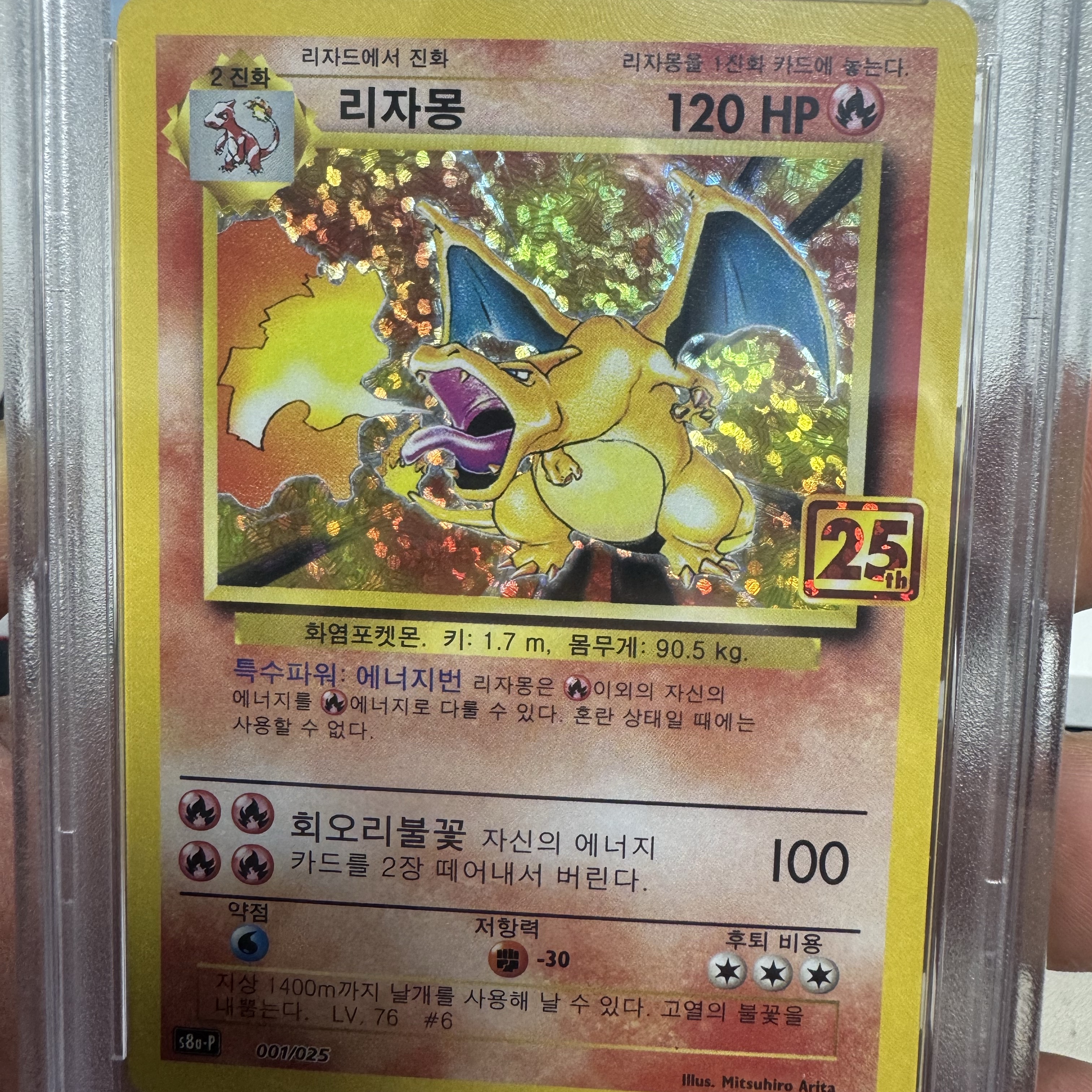 Pokemon TCG Charizard 25th Anniversary Collection (Korean Ver.) 착용 스타일
