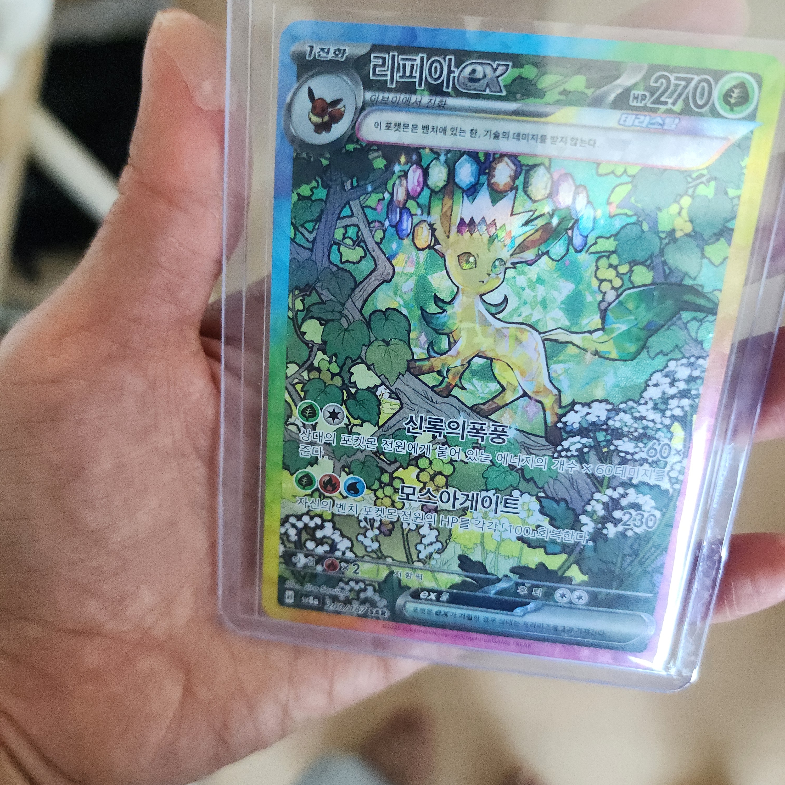 Pokemon TCG Scarlet & Violet Expansion Pack Set Terastal Festival ex Box (Korean Ver.) 착용 스타일