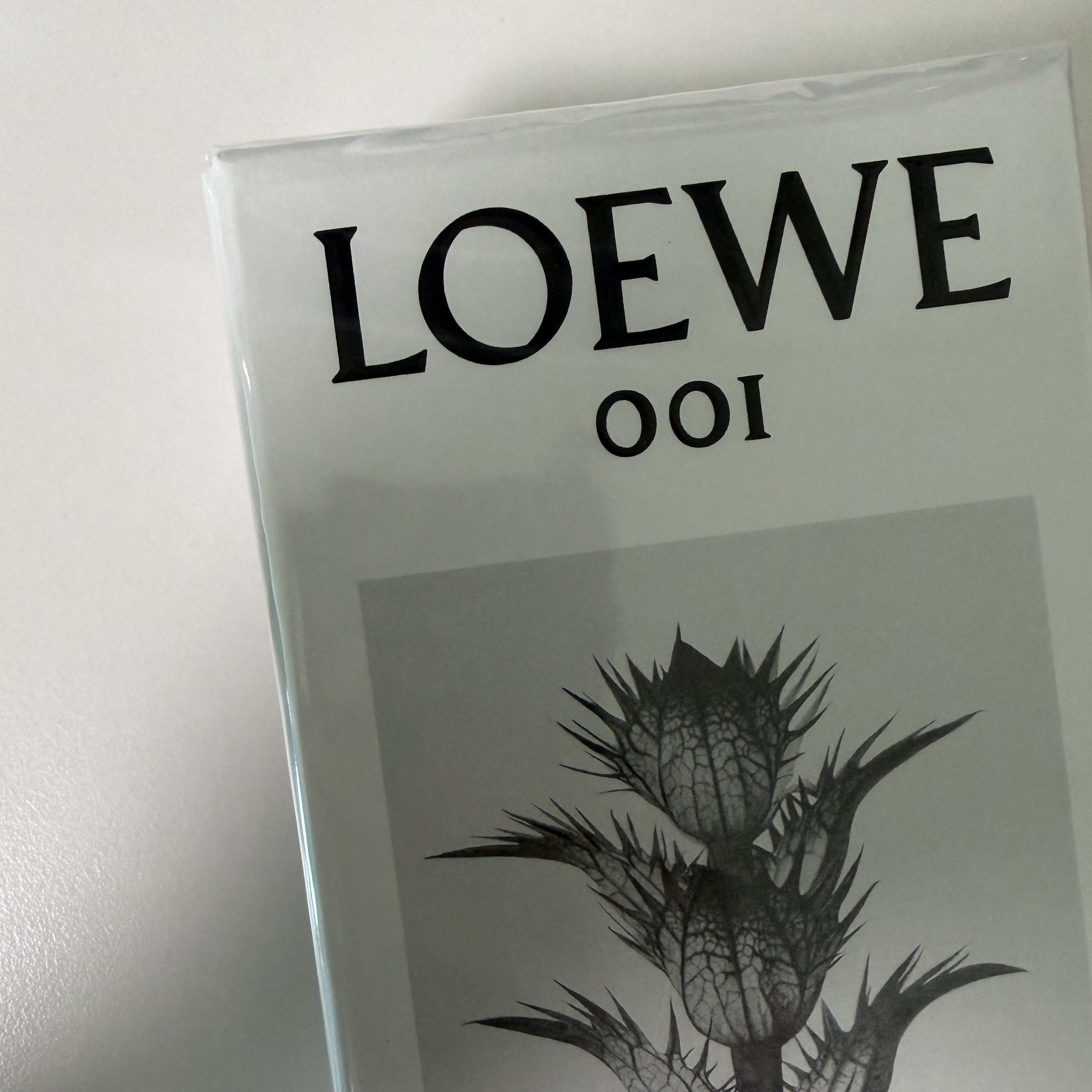 Loewe 001 Man Eau De Parfum 100ml 착용 스타일