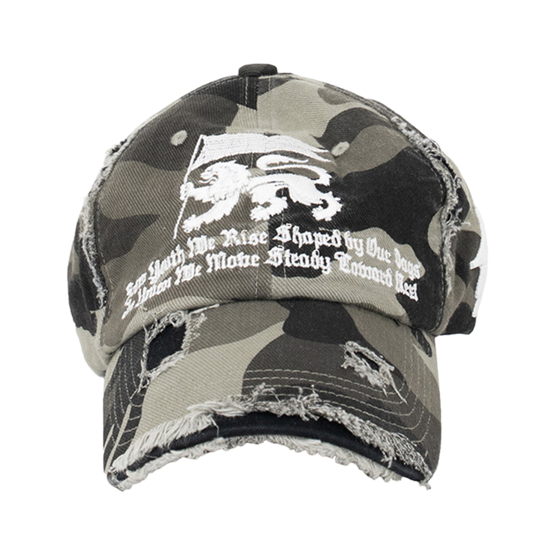 이티씨이 라이온 디스트로이드 캡 카모(ETCE Lion Destroyed Cap Camo)