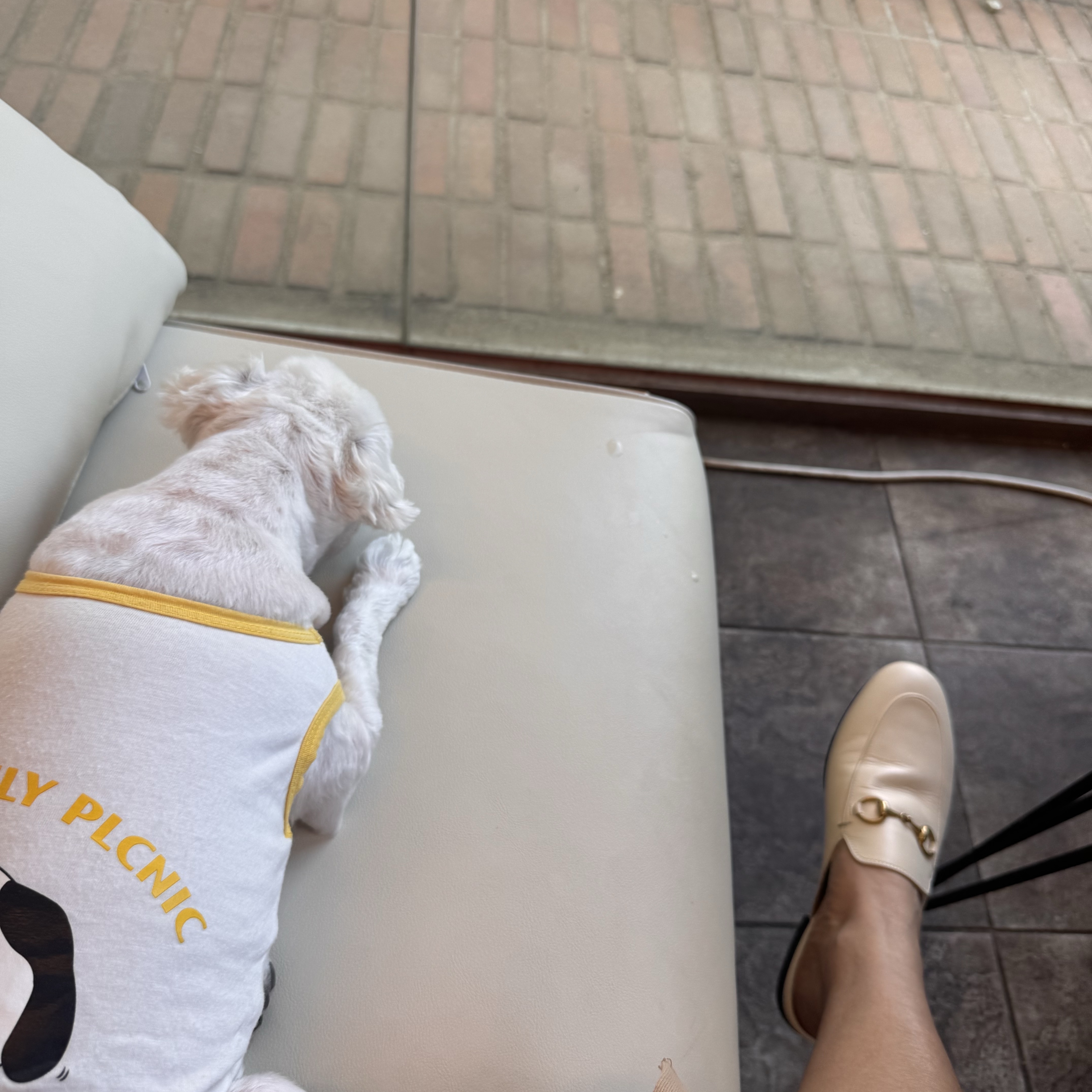 (W) Gucci Princetown Leather Slipper White 착용 스타일