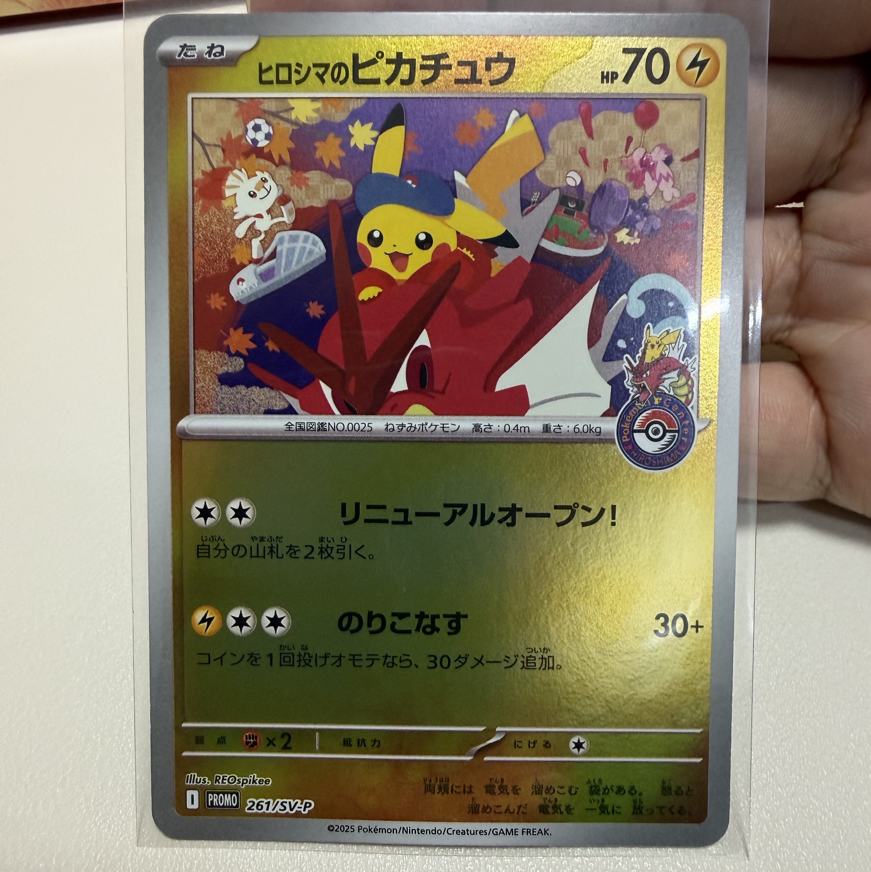 Pokemon TCG Special Box Pokemon Center Hiroshima (Japanese Ver.) 착용 스타일