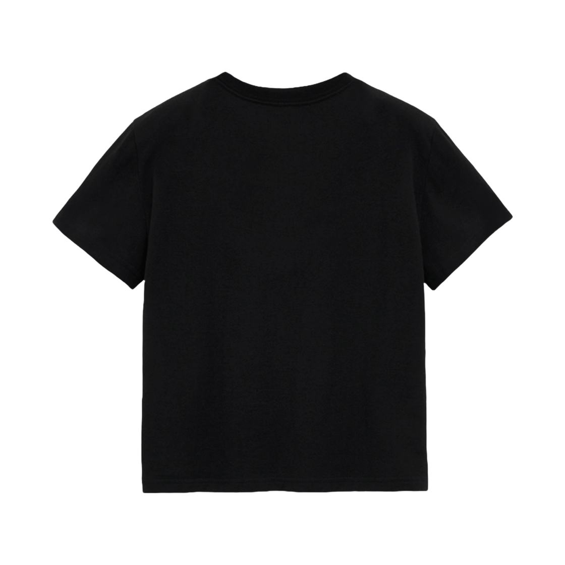 이이오 페이디드 윙 크롭 티셔츠(225 faded wing crop T-shirt) - 2