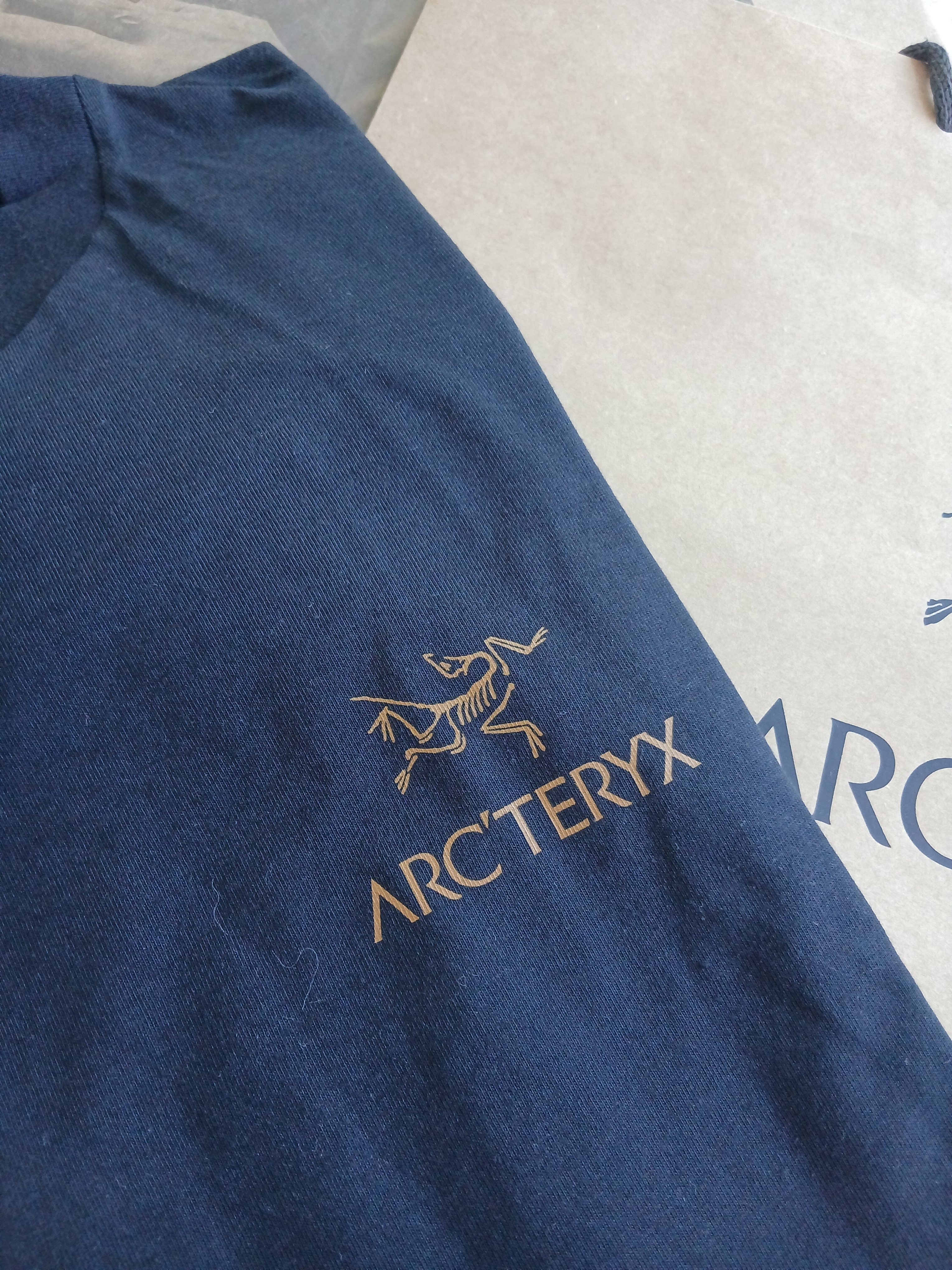 Arc'teryx Kragg SL Cotton Bird Word SS T-Shirt 24K Black 착용 스타일 - 3