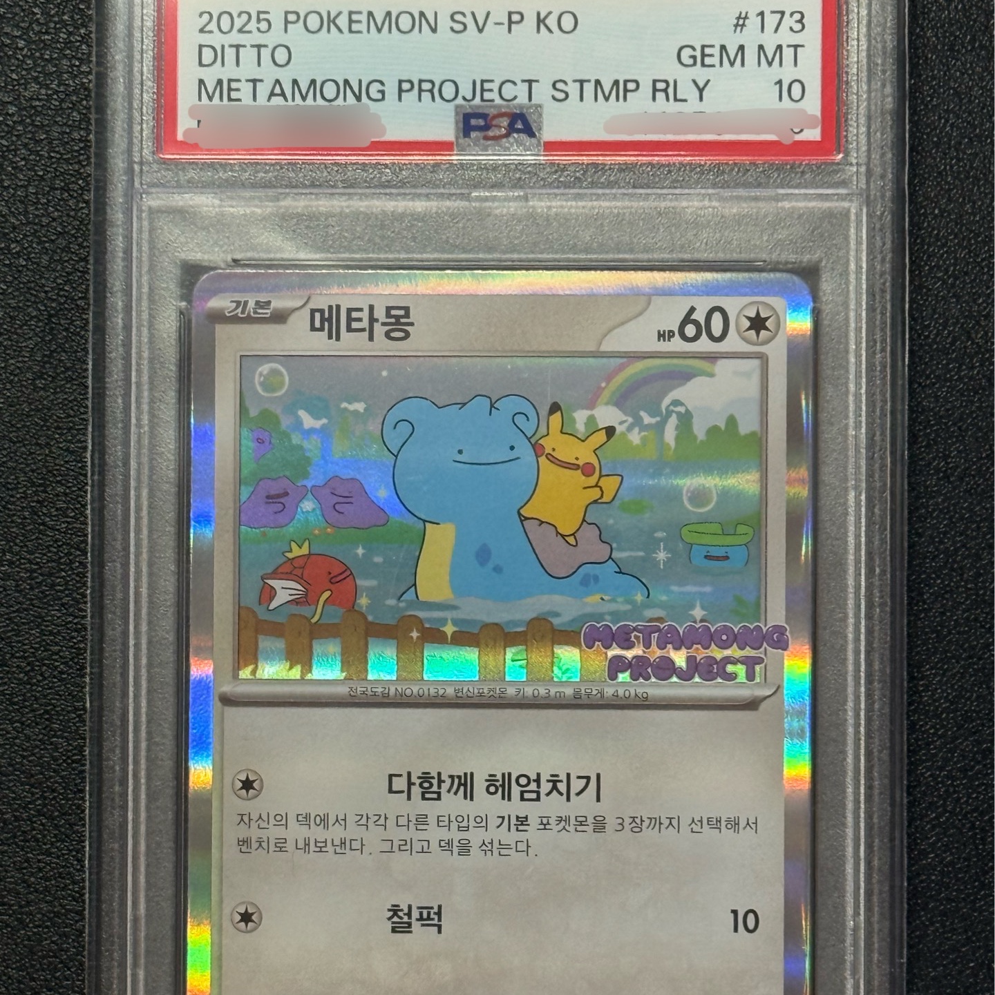 Pokemon TCG Ditto's Time Capsule Promo Card Ditto 착용 스타일