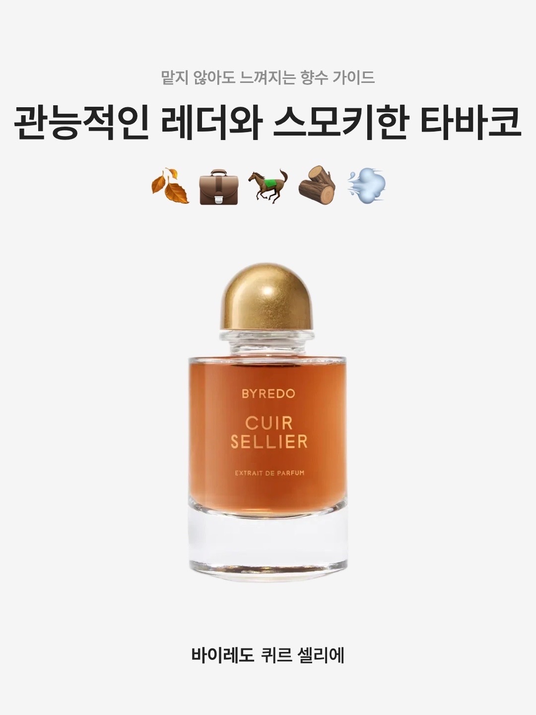 Byredo Cuir Sellier Extrait de Parfum 70ml 착용 스타일 - 1