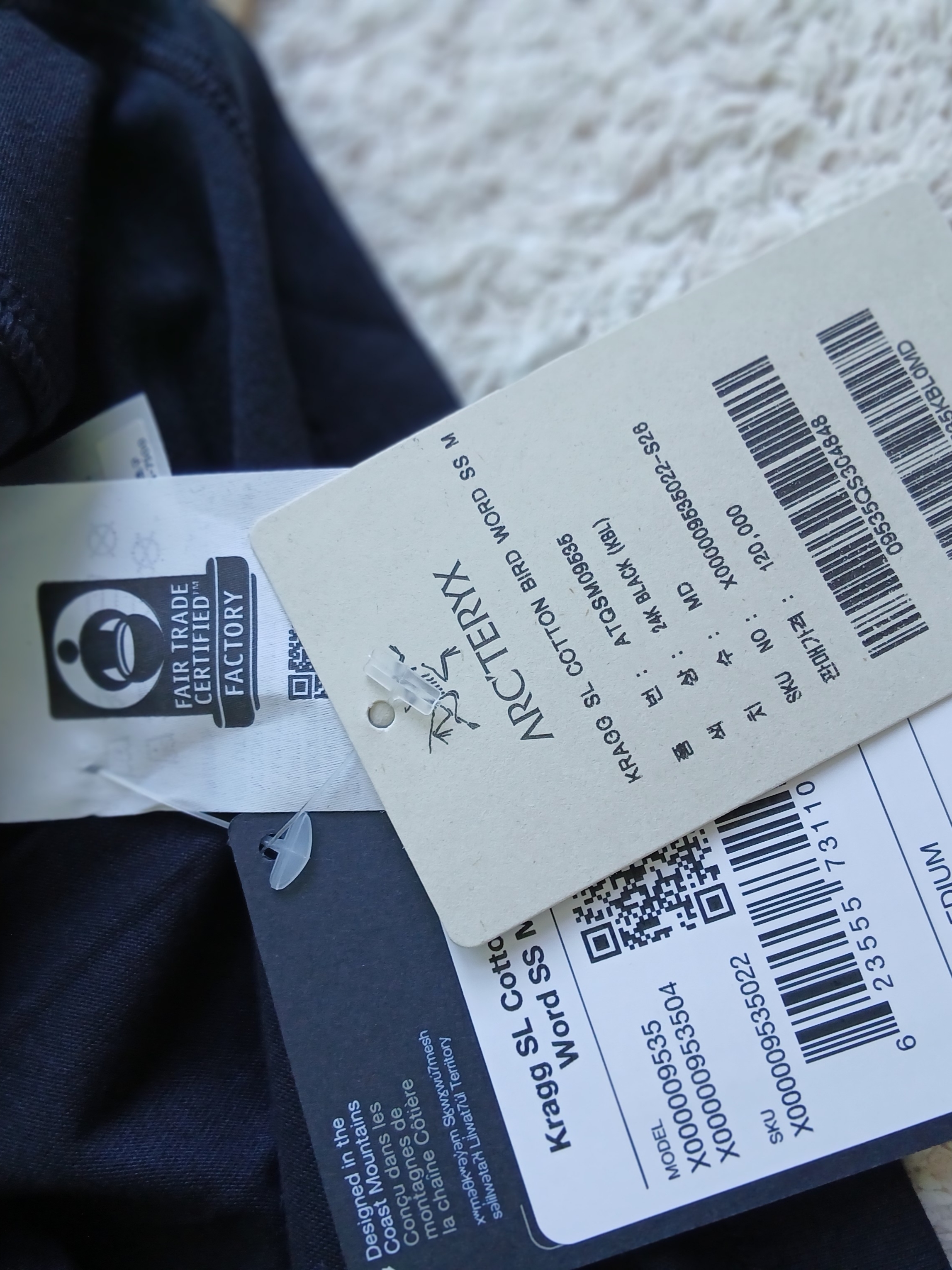 Arc'teryx Kragg SL Cotton Bird Word SS T-Shirt 24K Black 착용 스타일 - 4