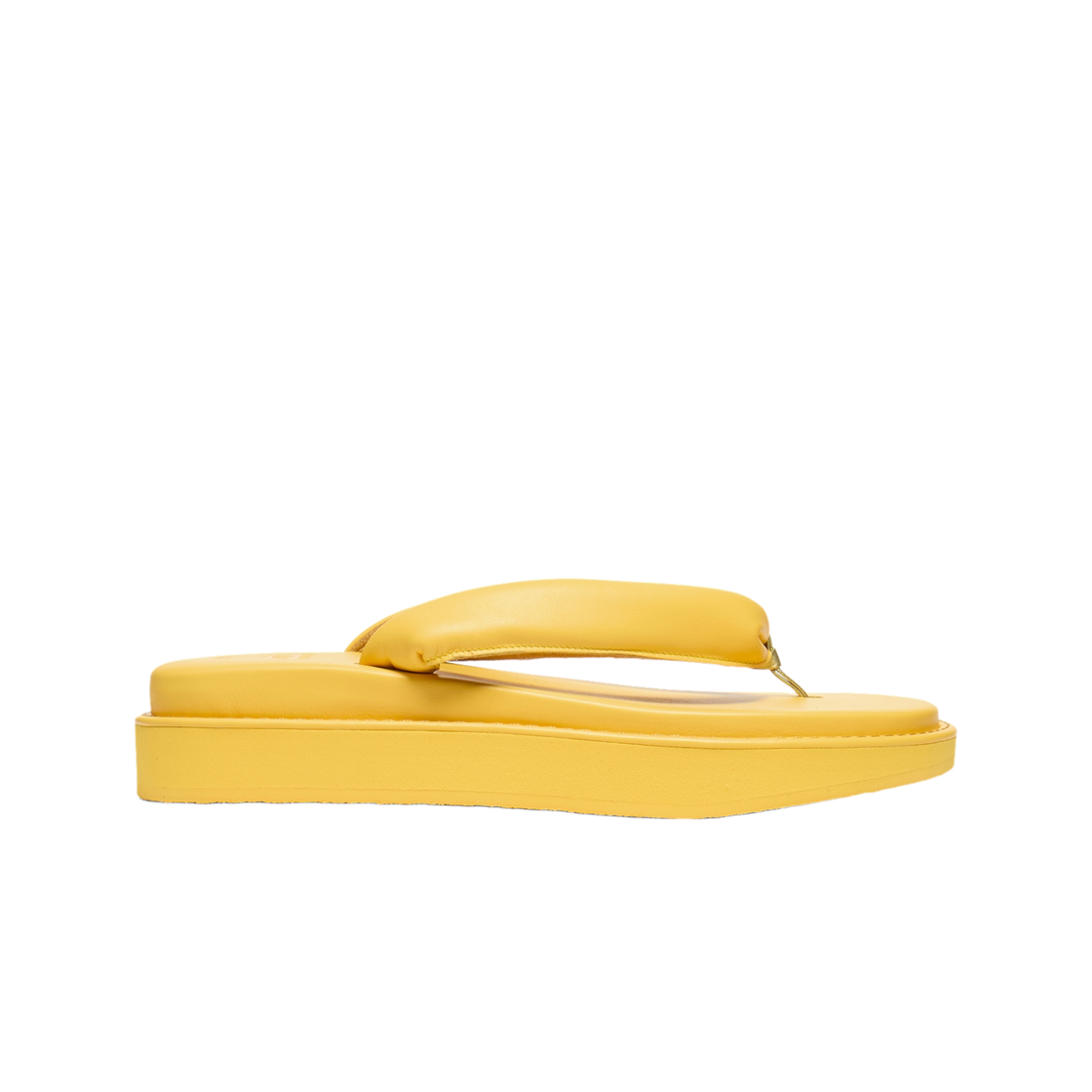 오니츠카 타이거 타이거 세타 NM 선플라워 옐로우(Onitsuka Tiger Tiger Setta NM Sunflower Yellow) - 1