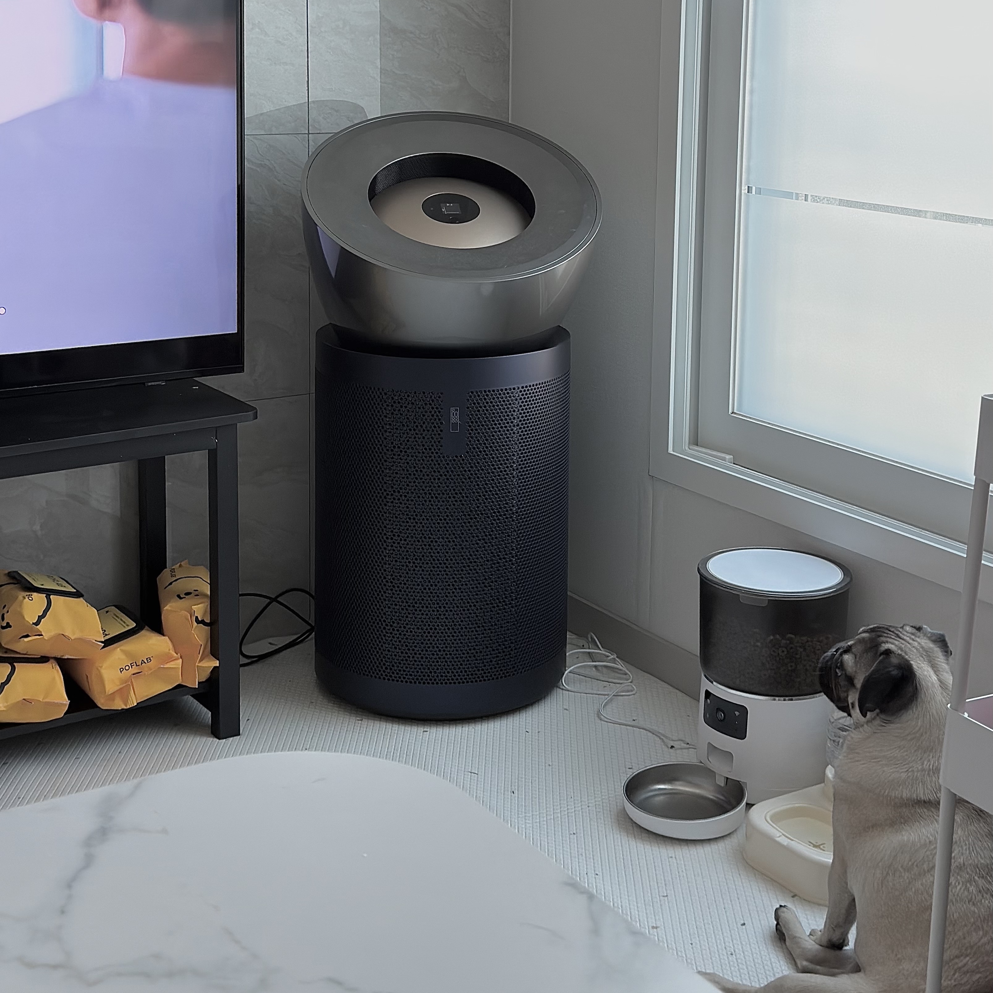 Dyson Purifier Big+Quiet Formaldehyde BP03 (Nickel/Blue) 착용 스타일