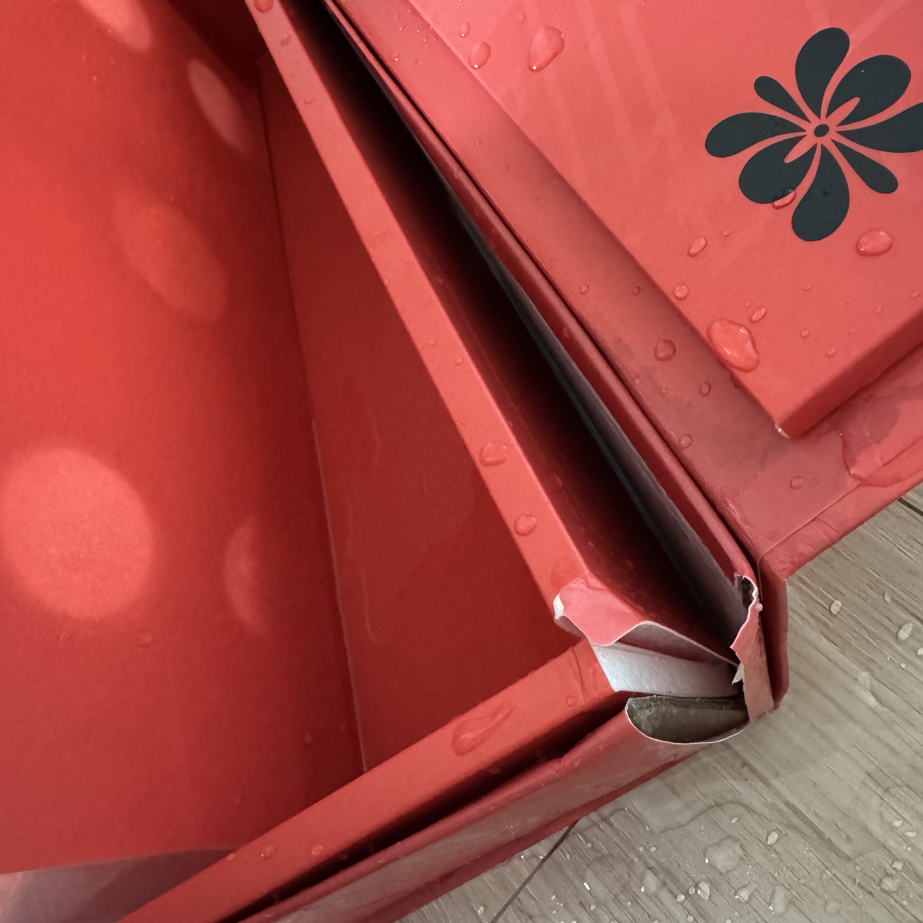 [KREAM 단독] Kkotdori x Mat_tagoras 1++ No.9 Hanwoo Limited Gift Set 착용 스타일 - 2