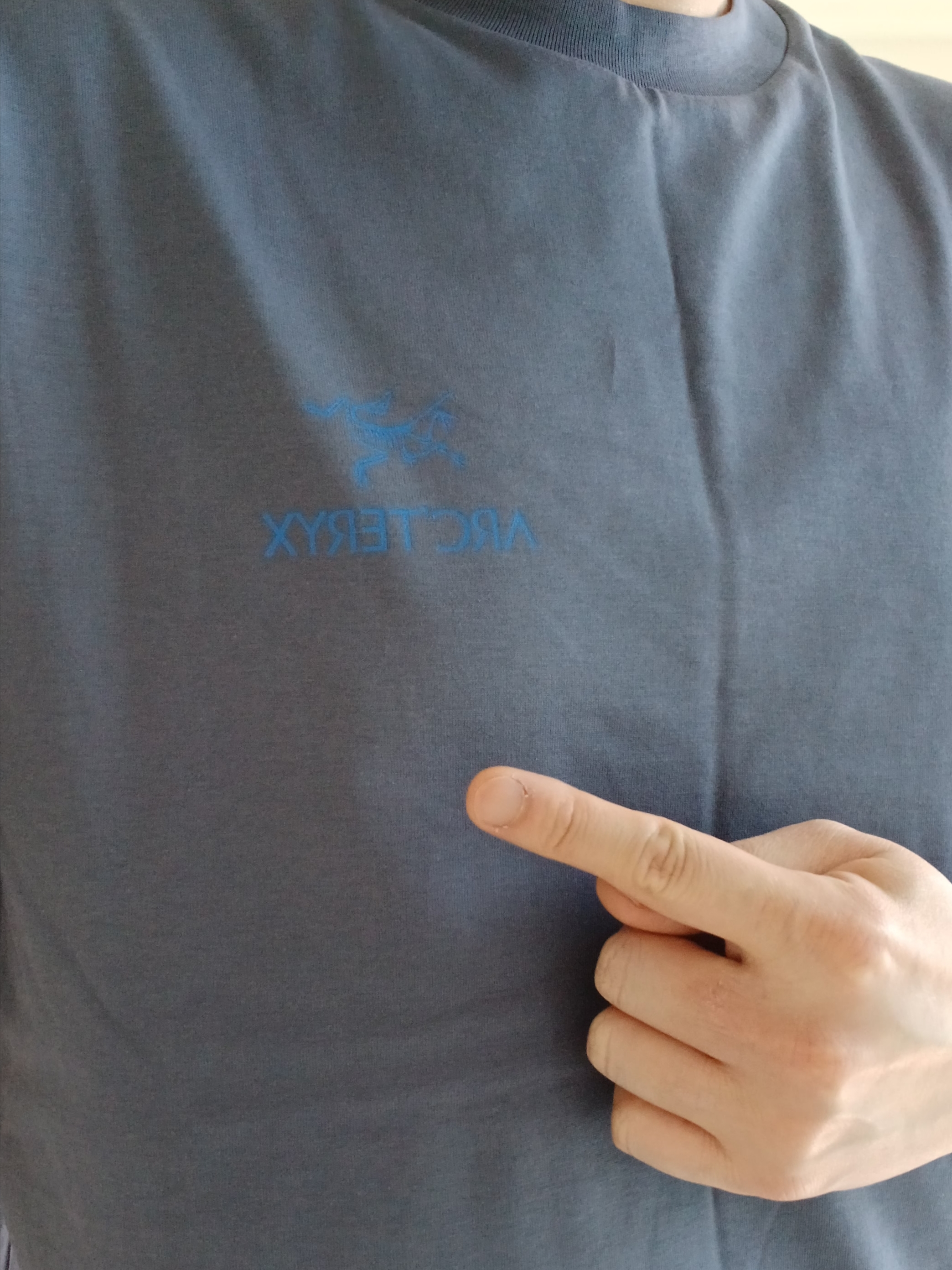 Arc'teryx Kragg SL Cotton Bird Word SS T-Shirt Dk Stratus Fluidity 착용 스타일 - 5