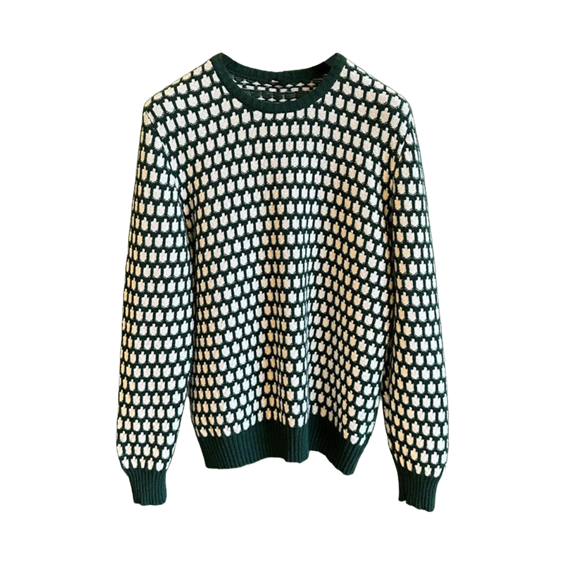 UK1310W22V144002 Kiton Turtle Pattern Knit Sweater Green