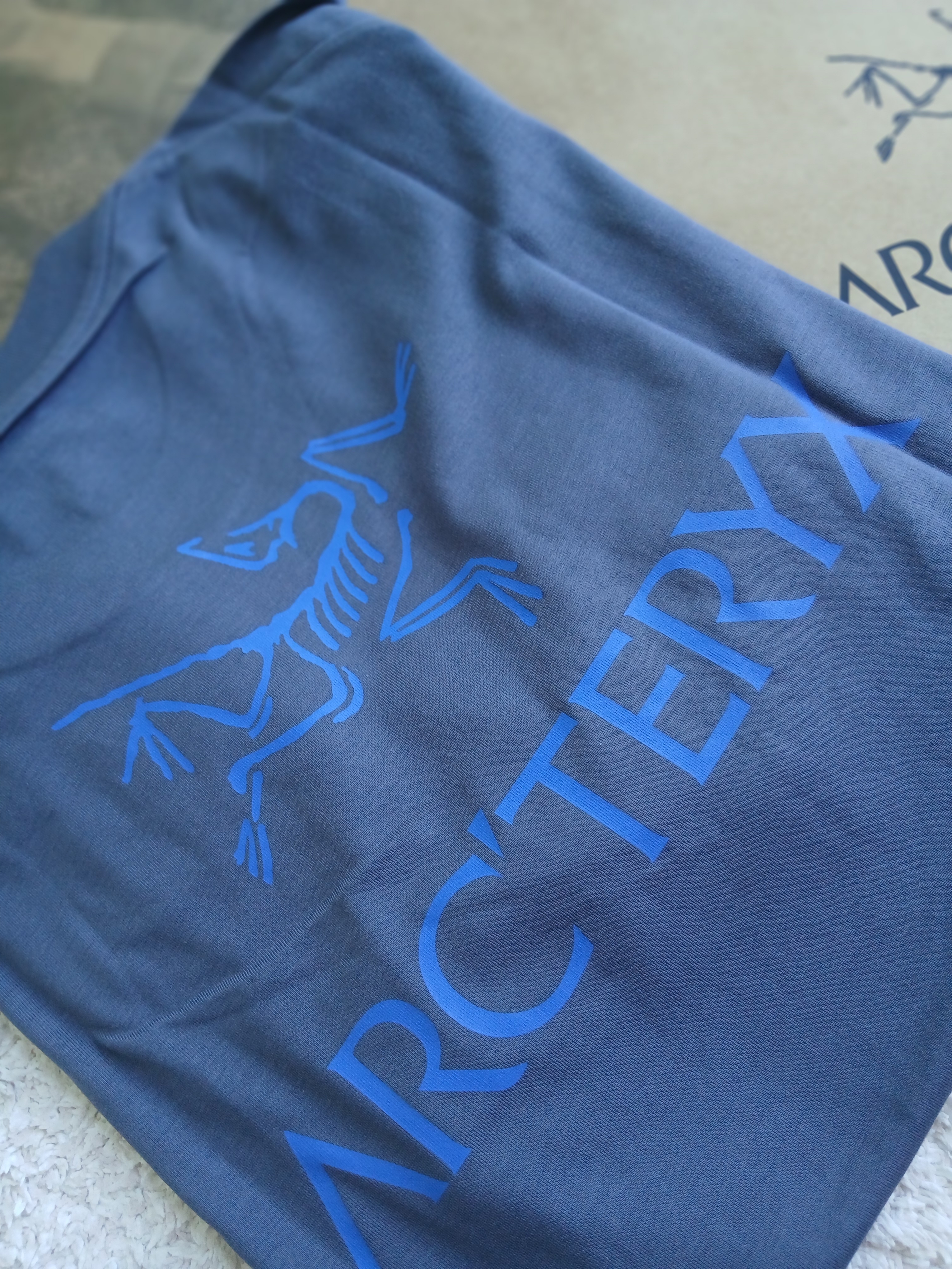 Arc'teryx Kragg SL Cotton Bird Word SS T-Shirt Dk Stratus Fluidity 착용 스타일 - 6