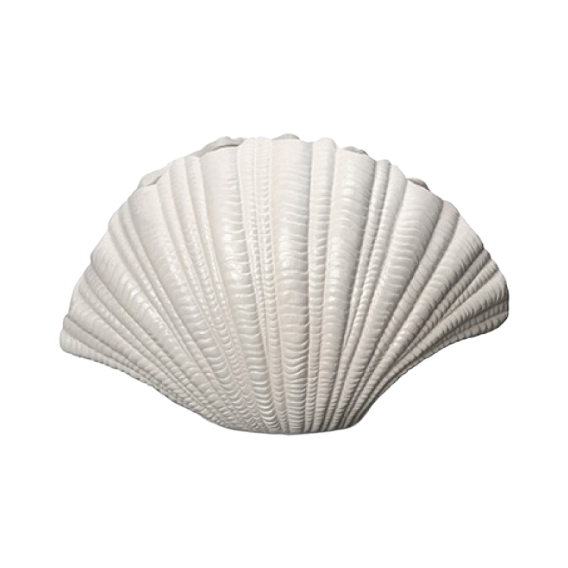 이노메싸 바이온 베이스 쉘 화이트(INNOMETSA BYON Vase Shell) - 1
