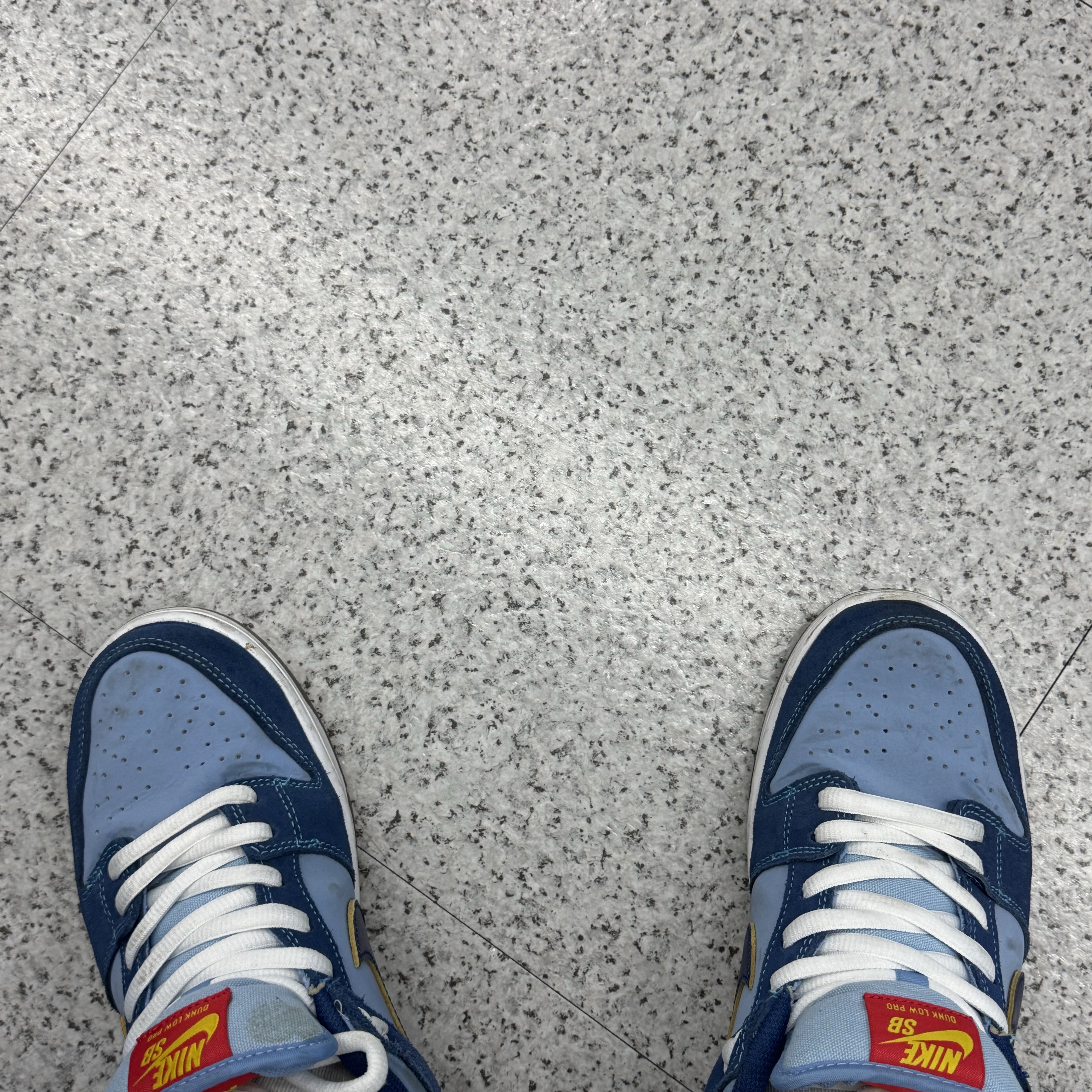 Nike x Why So Sad? SB Dunk Low Pro Coastal Blue 착용 스타일