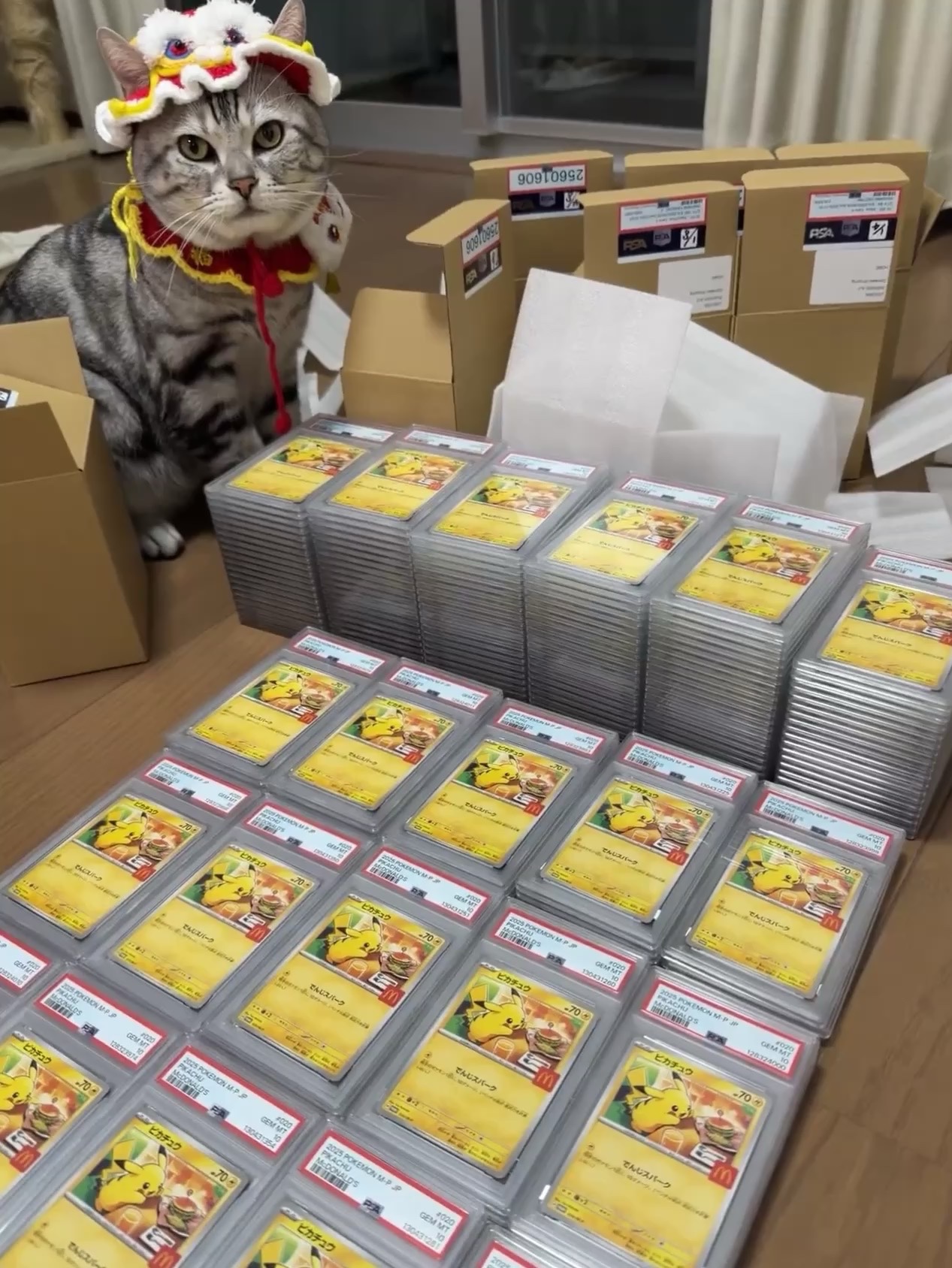 Pokemon TCG Pikachu P Mega Evolution Promos (Japanese Ver.) 착용 스타일