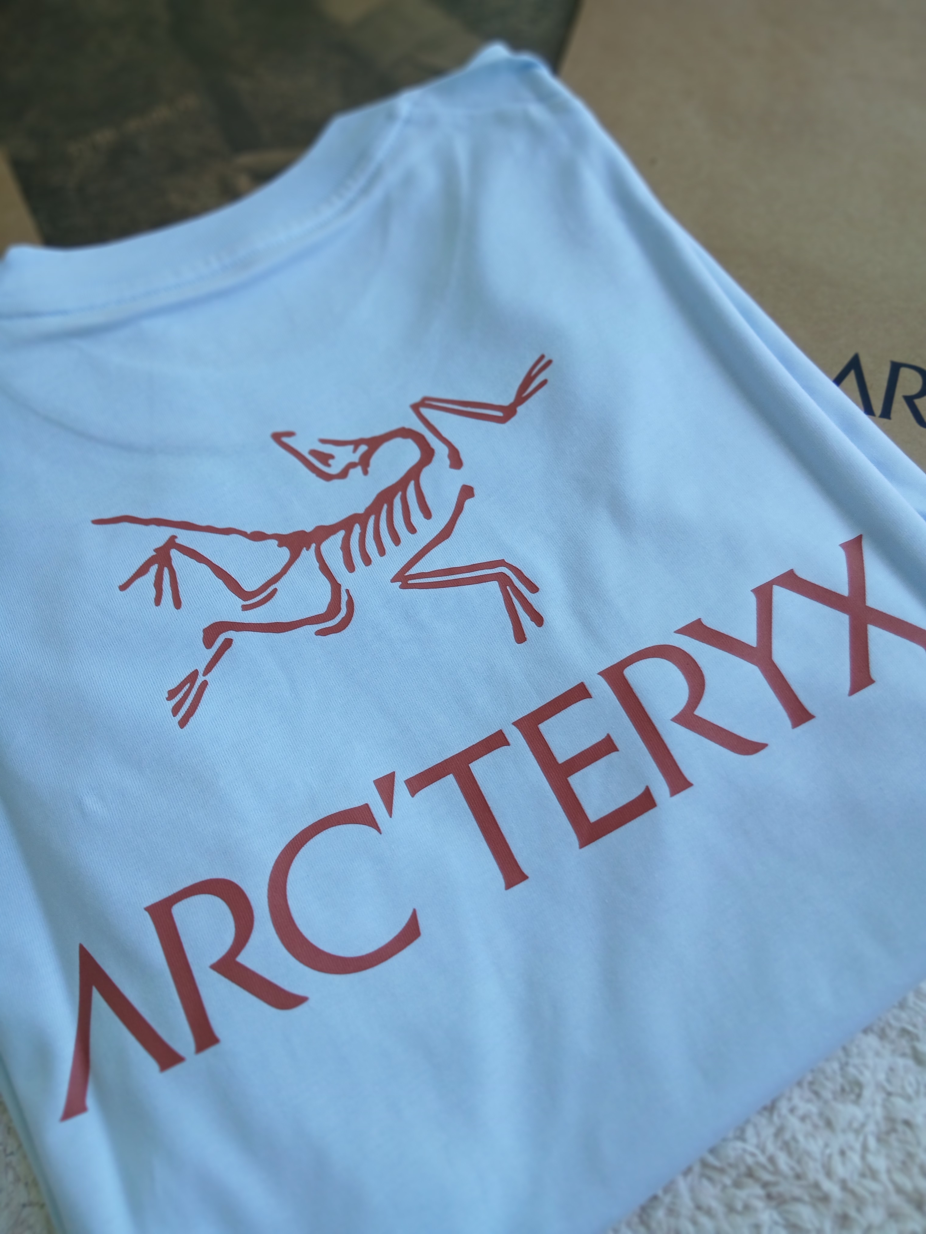 Arc'teryx Kragg SL Cotton Bird Word SS T-Shirt Alpine Blue Stone Red 착용 스타일 - 6