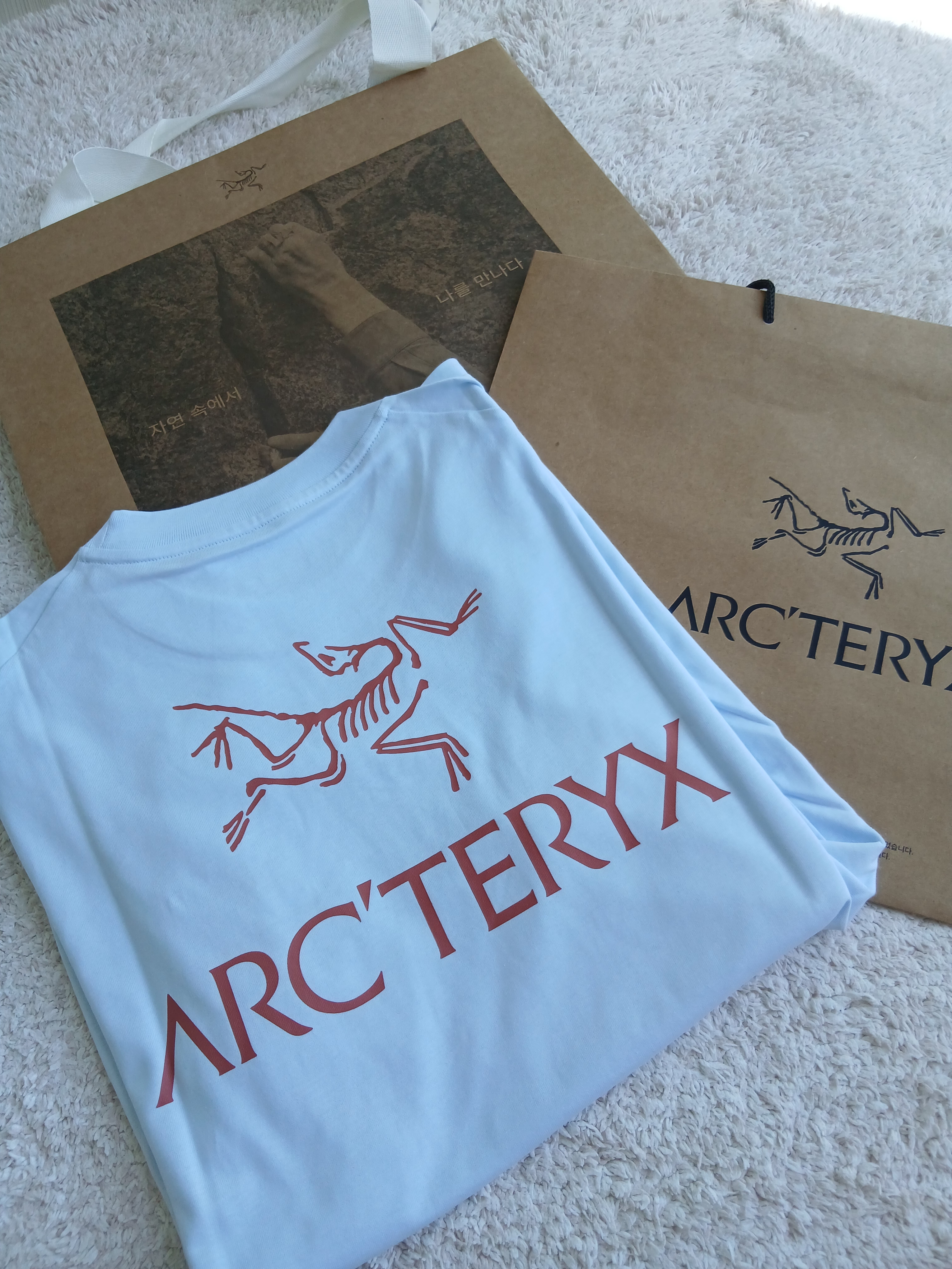 Arc'teryx Kragg SL Cotton Bird Word SS T-Shirt Alpine Blue Stone Red 착용 스타일 - 7
