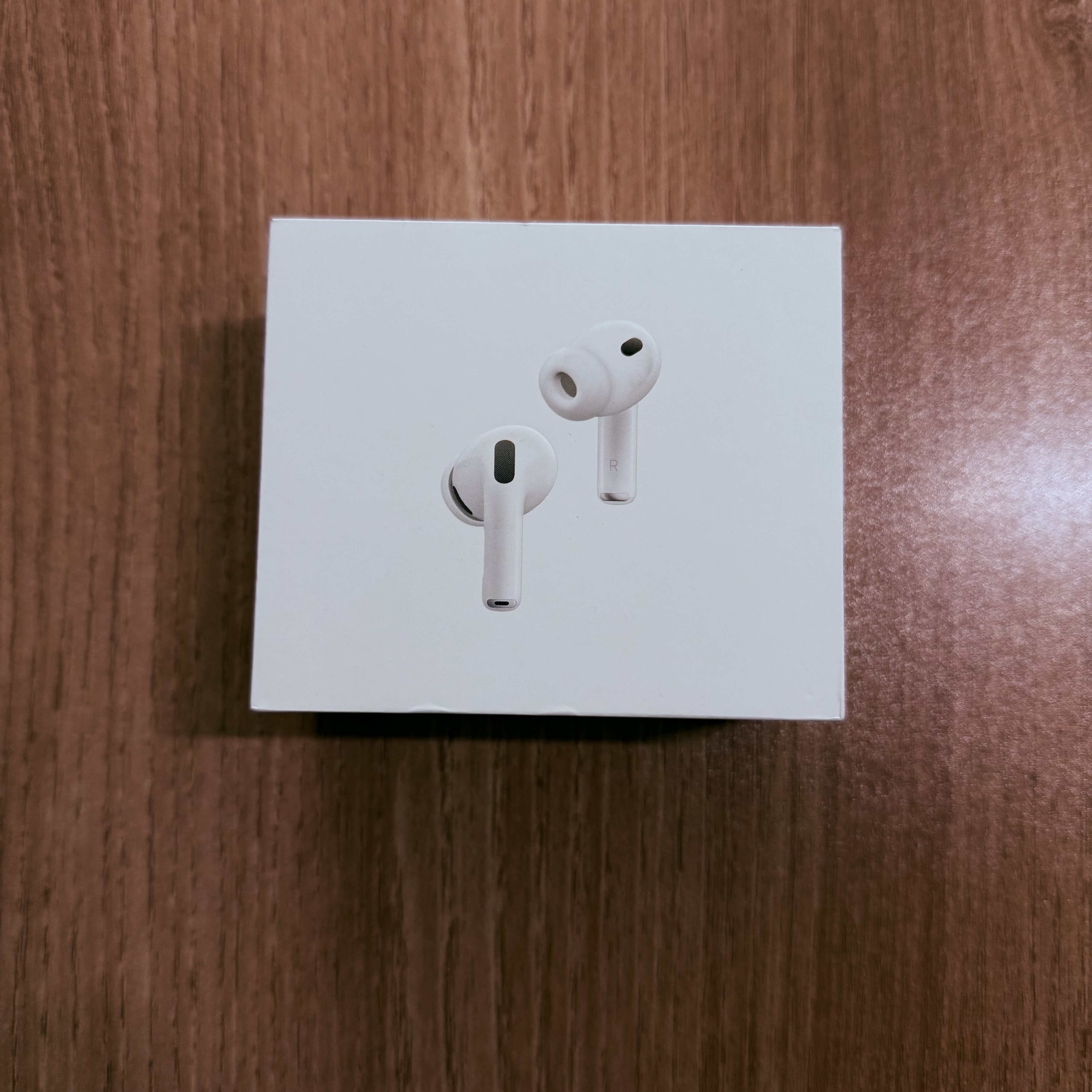 Apple AirPods Pro 3rd Gen (Korean Ver.) 착용 스타일