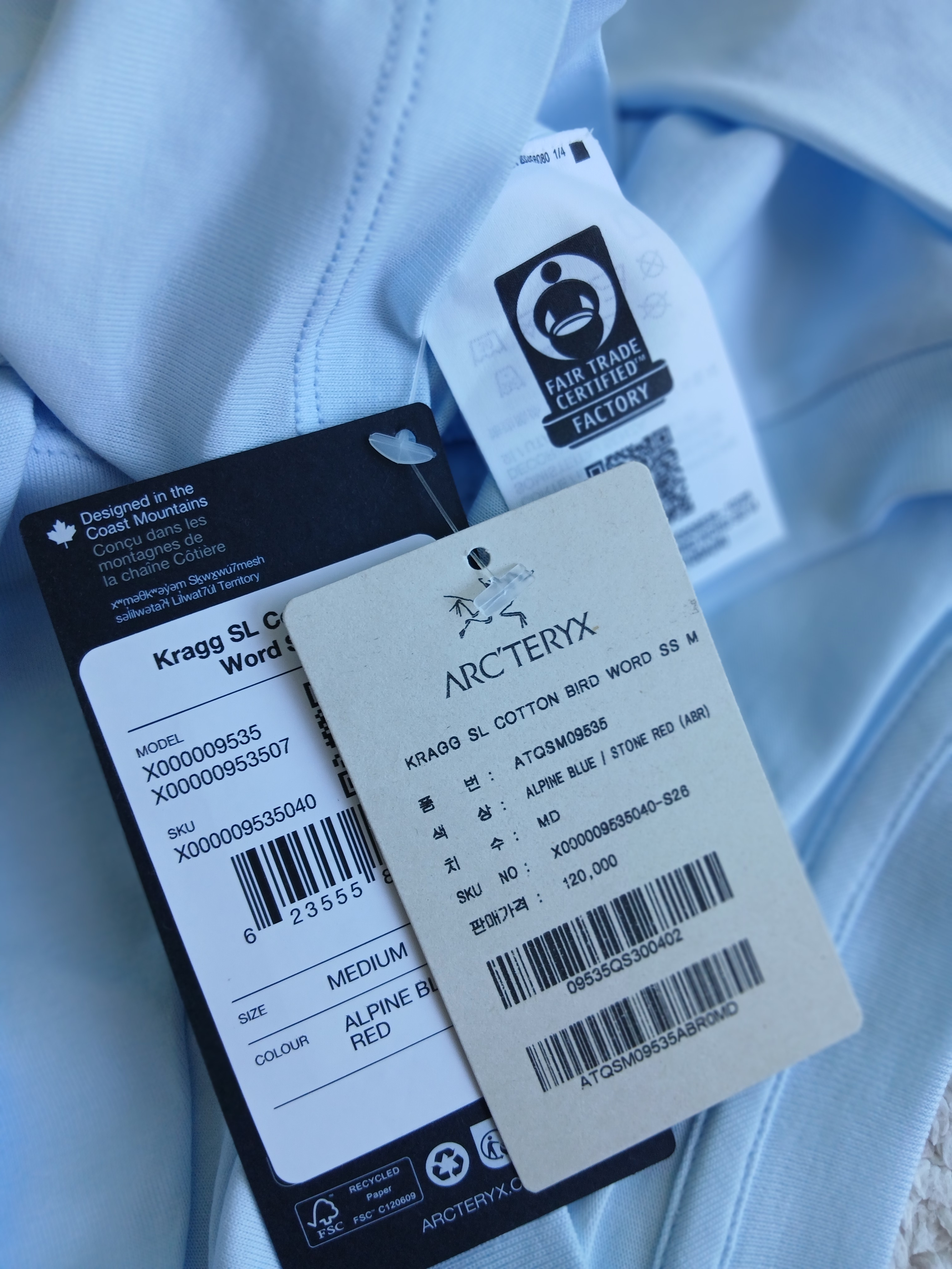 Arc'teryx Kragg SL Cotton Bird Word SS T-Shirt Alpine Blue Stone Red 착용 스타일 - 4