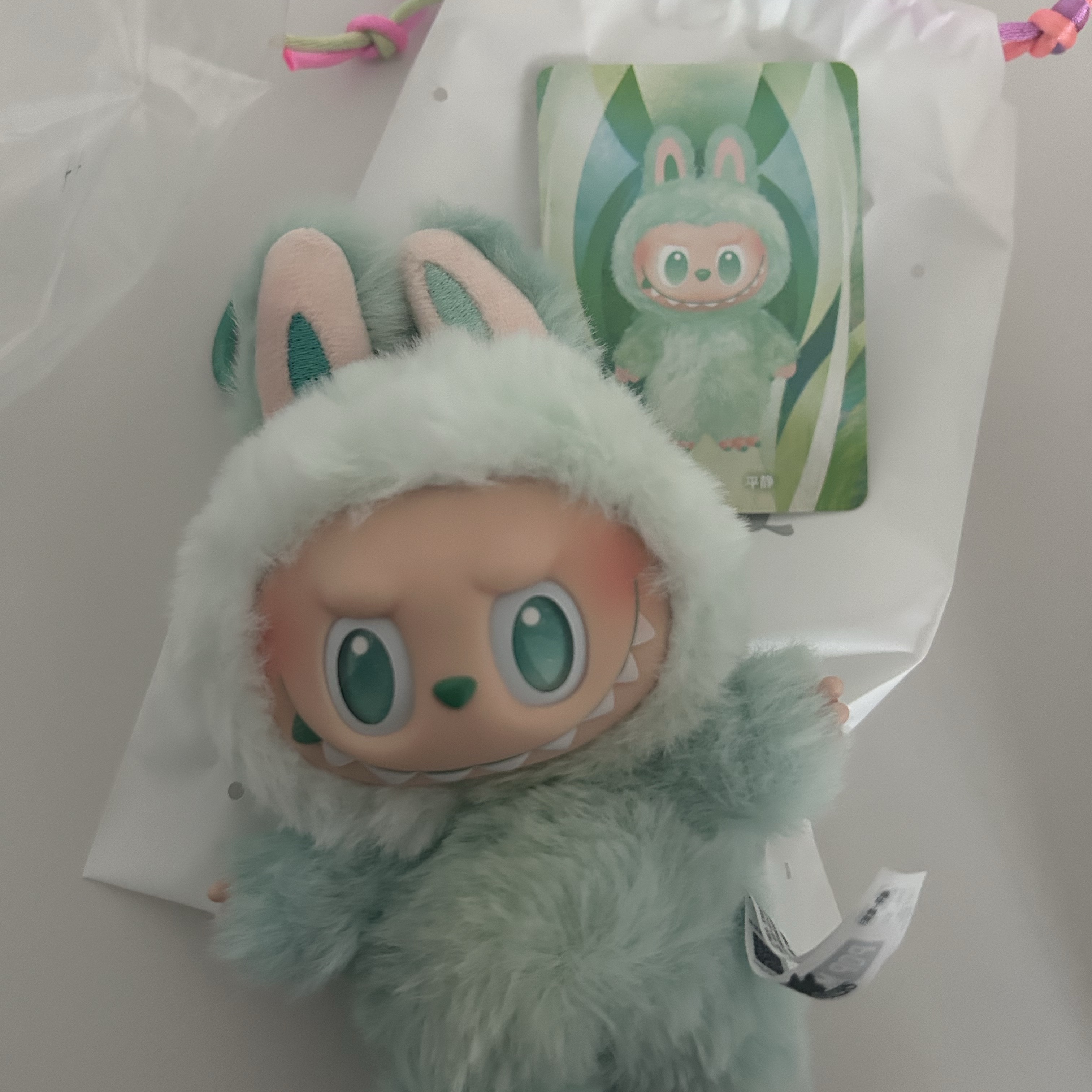 Pop Mart Labubu The Monsters Highlight Series Serenity Keyring (Opened Case) 착용 스타일