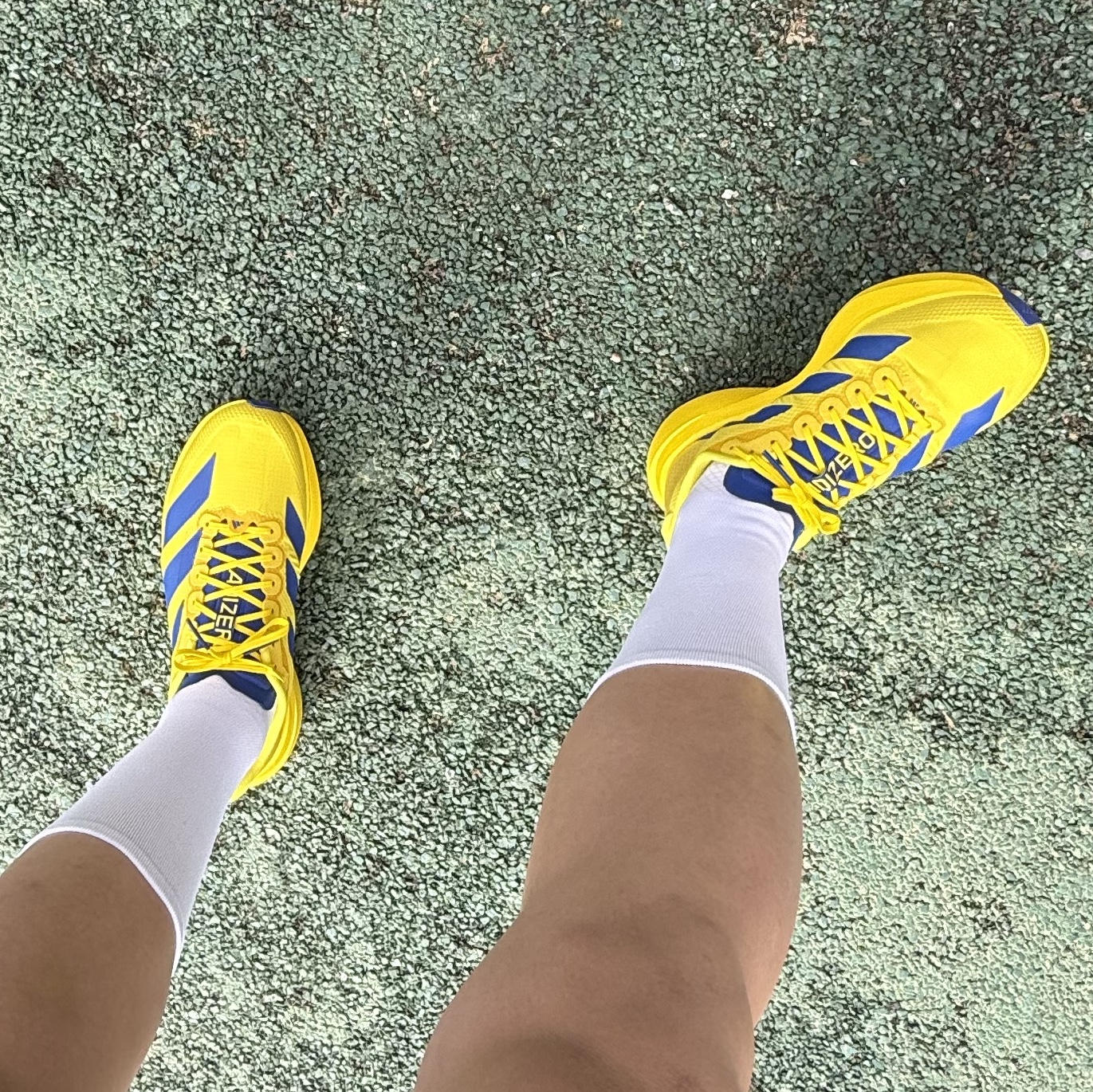 Adidas Adizero EVO SL Woven Yellow Royal Blue 착용 스타일