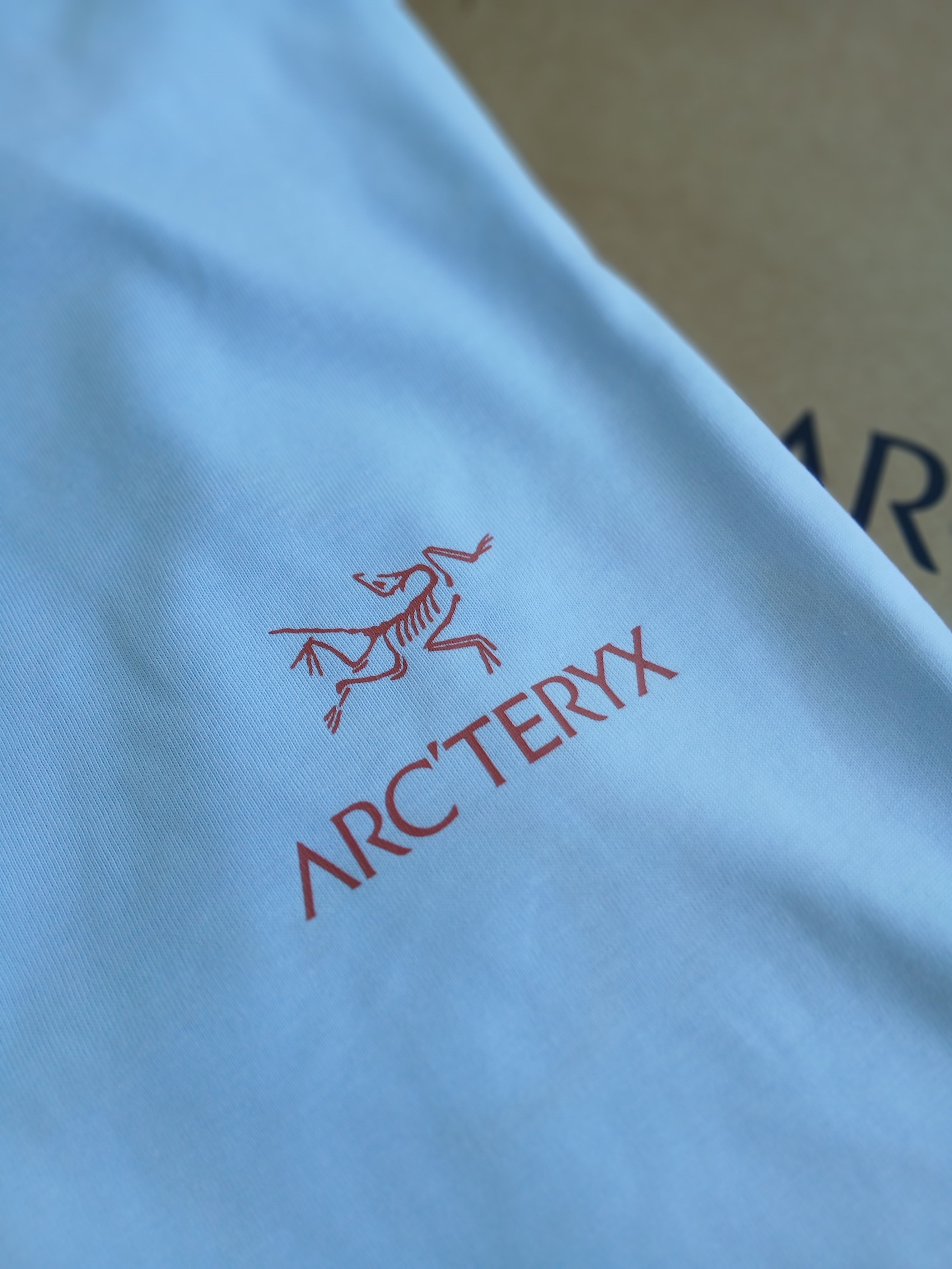 Arc'teryx Kragg SL Cotton Bird Word SS T-Shirt Alpine Blue Stone Red 착용 스타일 - 5
