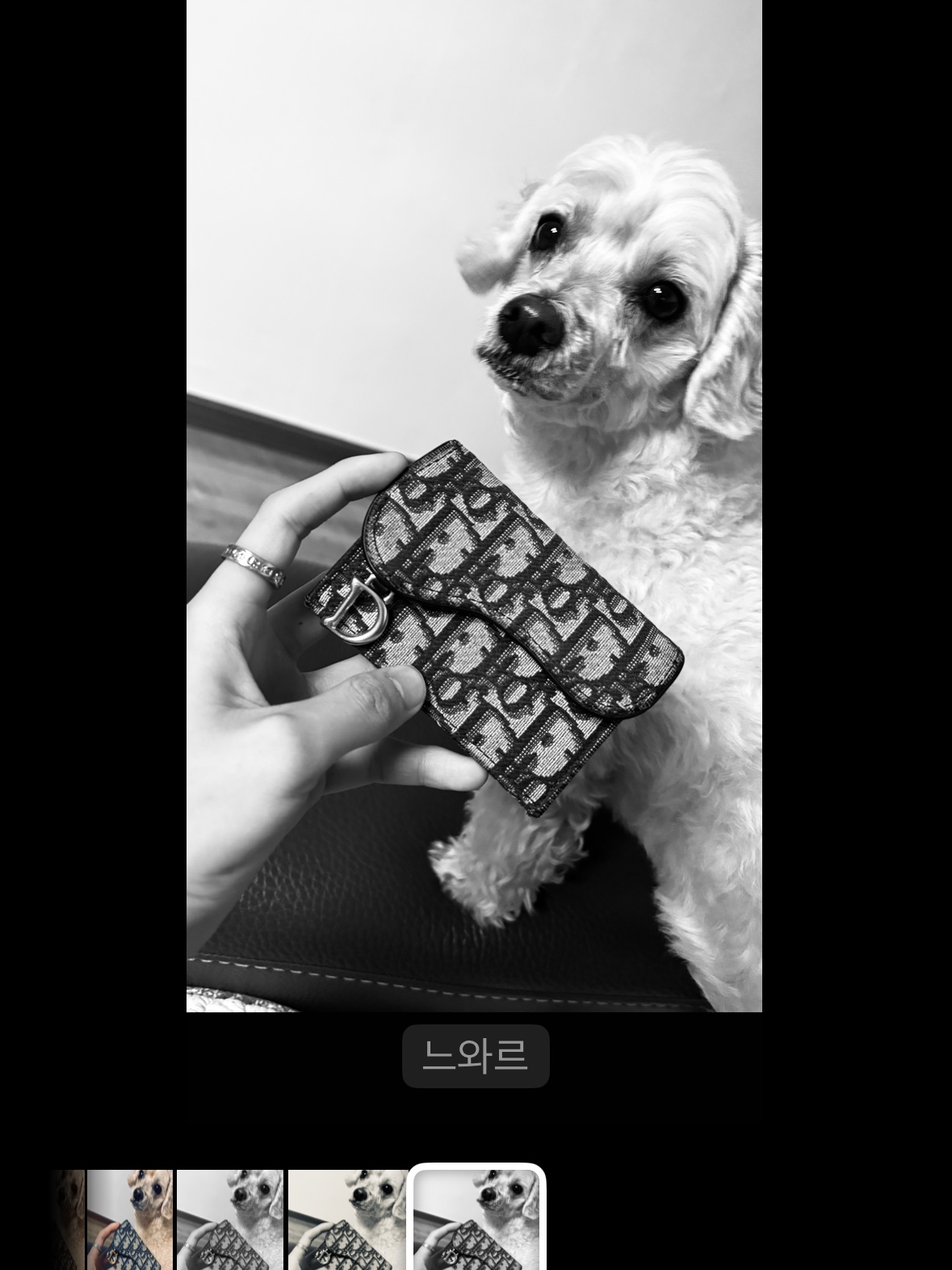 Dior Saddle Flap Card Holder Blue Dior Oblique Jacquard, Maison Margiela Numerical Ring Silver 착용 스타일
