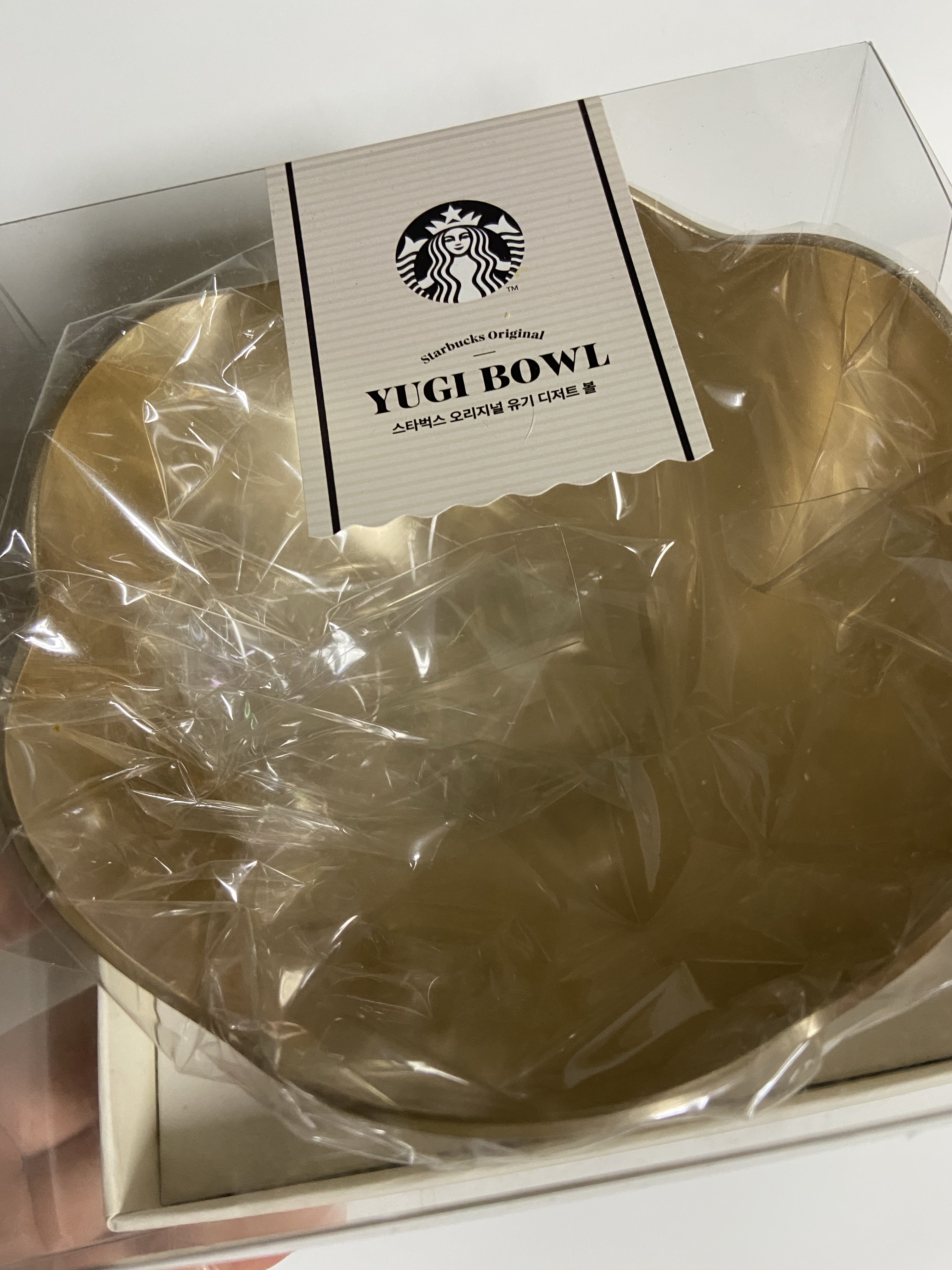 Starbucks 23 Original Yugi Plate Bowl 착용 스타일