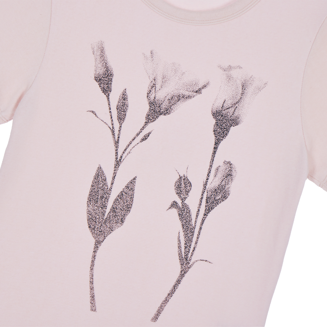 로제프란츠플로럴 스케치 그래픽 티셔츠 핑크(Rosefrantz Floral Sketch Graphic T-shirt [Pink]) - 3