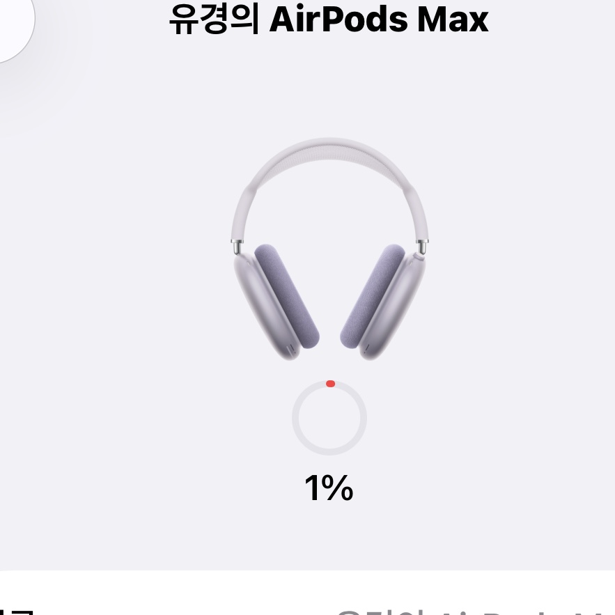 Apple AirPods Max USB C Purple (Korean Ver.) 착용 스타일 - 5