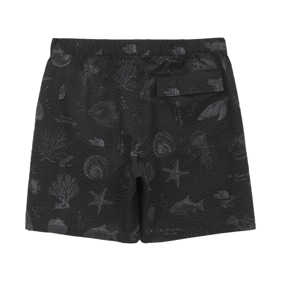 노스페이스 마리스 쇼츠 블랙 - 26SS(The North Face Maris Shorts Black - 26SS) - 2