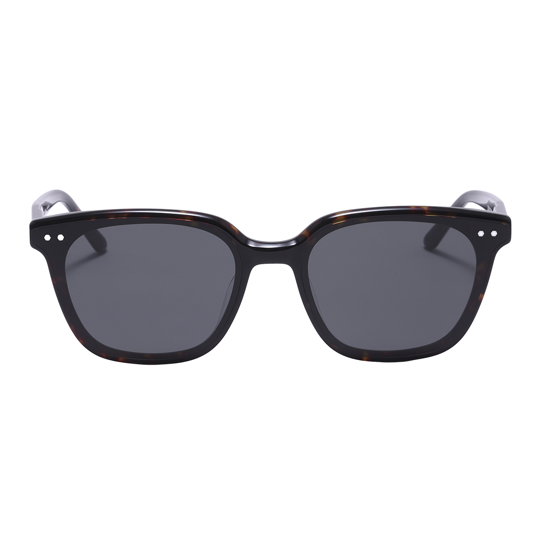 SBS1603 1818G ALO EYEWEAR [SILVERBITE] SBS1603 1818G Flat Bar Square Tortoise Sunglasses