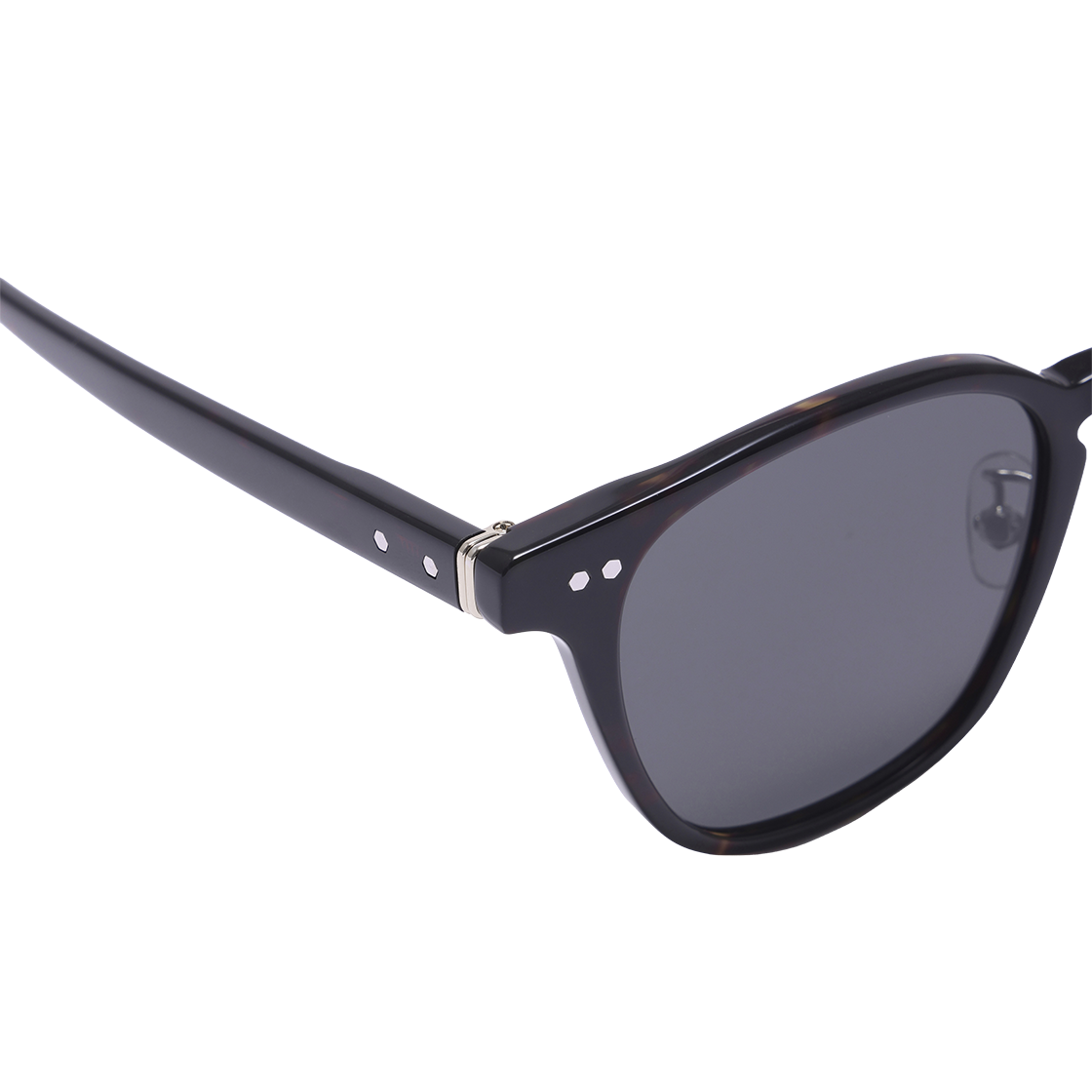 알로아이웨어 [SILVERBITE] SBS1601 1818G 아세테이트 스퀘어 톨토이즈 선글라스(ALO EYEWEAR [SILVERBITE] SBS1601 1818G Acetate Square Tortoise Sunglasses) - 4