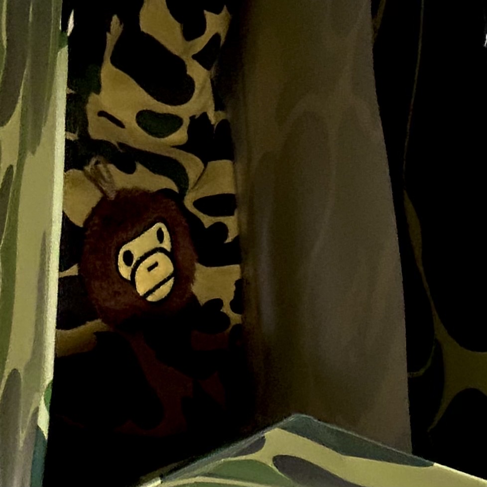 BAPE 1st Camo Full Zip Hoodie Yellow 착용 스타일