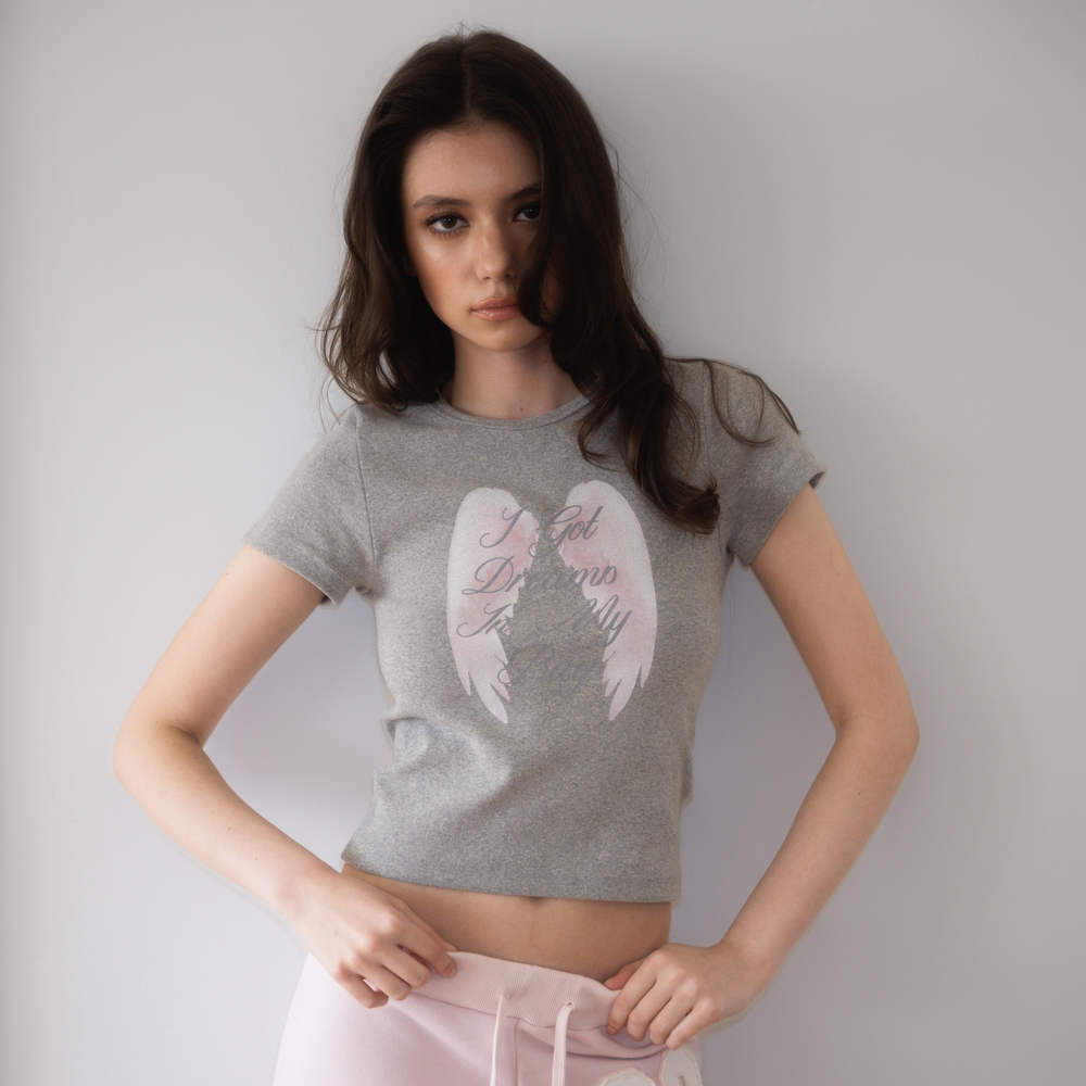 로제프란츠 엔젤 윙 레터링 티셔츠 그레이(Rosefrantz Angel Wing Lettering T-shirt [Gray]) - 3