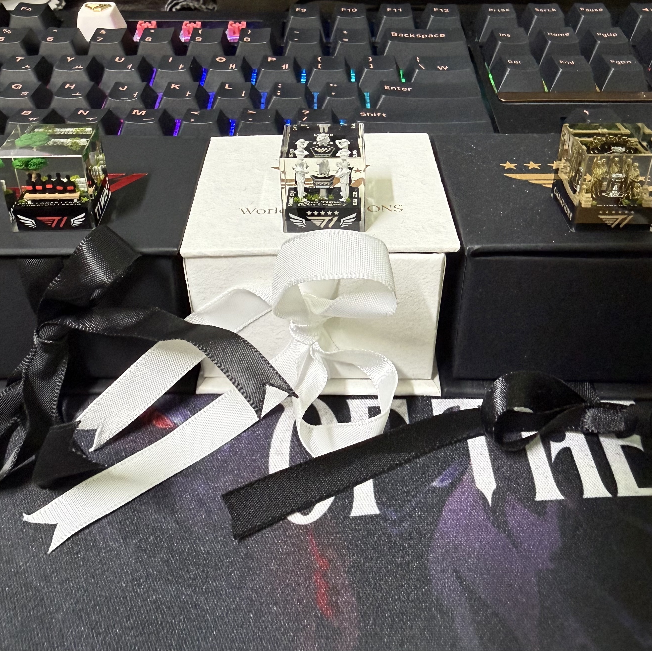 T1 2024 World Champions ZOFGK Keycap, T1 2024 World Champions Keycap 착용 스타일 - 1