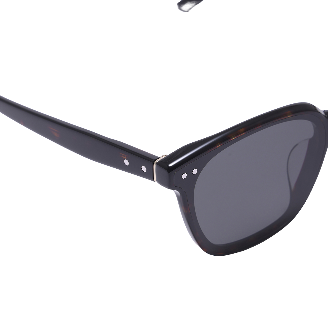 알로아이웨어 [SILVERBITE] SBS1603 1818G 플랫바 스퀘어 톨토이즈 선글라스(ALO EYEWEAR [SILVERBITE] SBS1603 1818G Flat Bar Square Tortoise Sunglasses) - 4