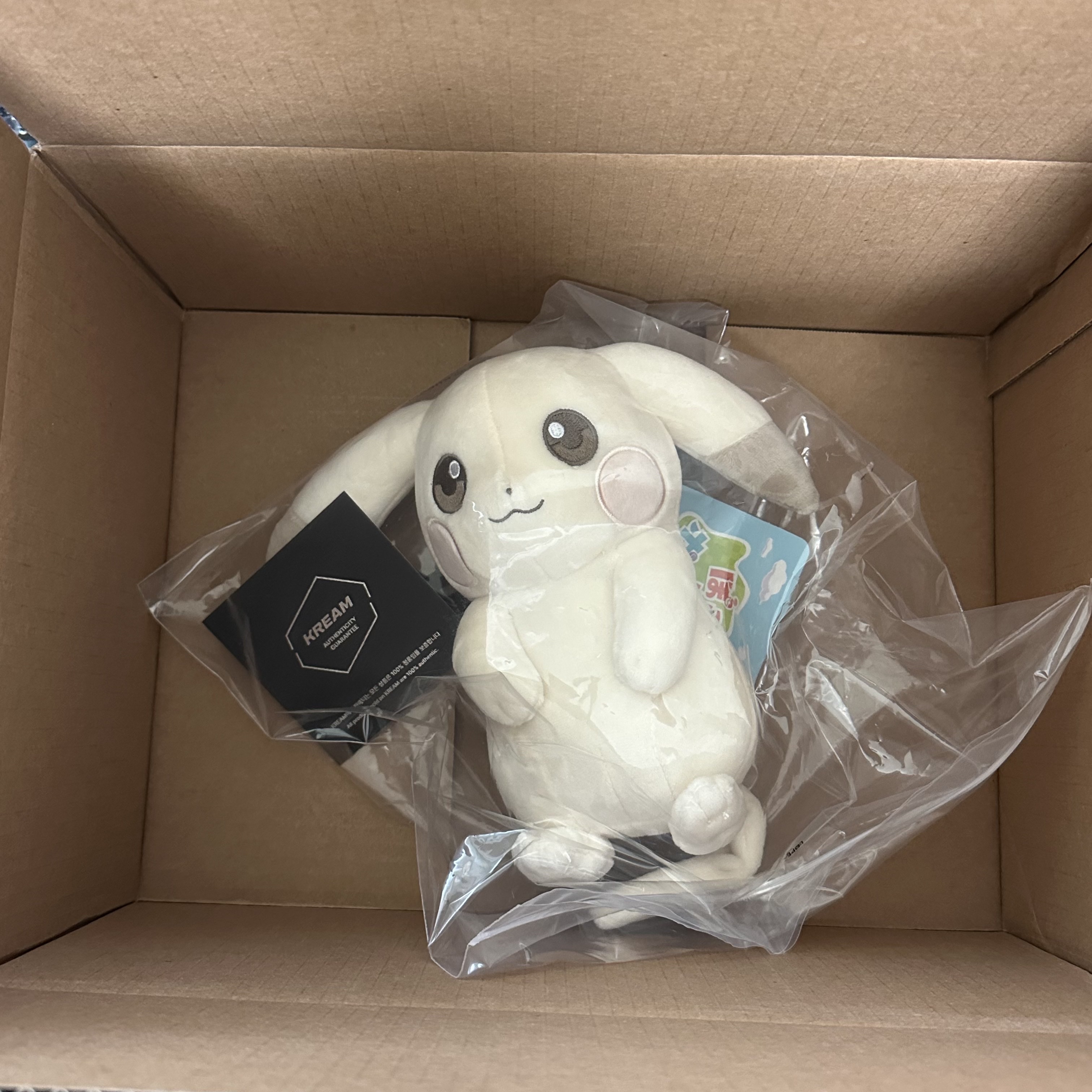 Pokemon Pokopia Pokemon Pikachu Plush Toy Light Blue 착용 스타일