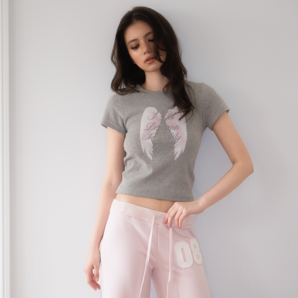로제프란츠 엔젤 윙 레터링 티셔츠 그레이(Rosefrantz Angel Wing Lettering T-shirt [Gray]) - 2