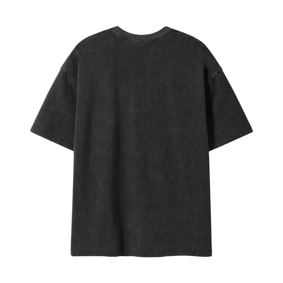 디미트리블랙 VLAD 빈티지 로즈 세미 크롭 티셔츠 피그먼트 차콜(Dimitri Black VLAD Vintage Rose Semi Crop T-Shirt Pigment Charcoal) - 2