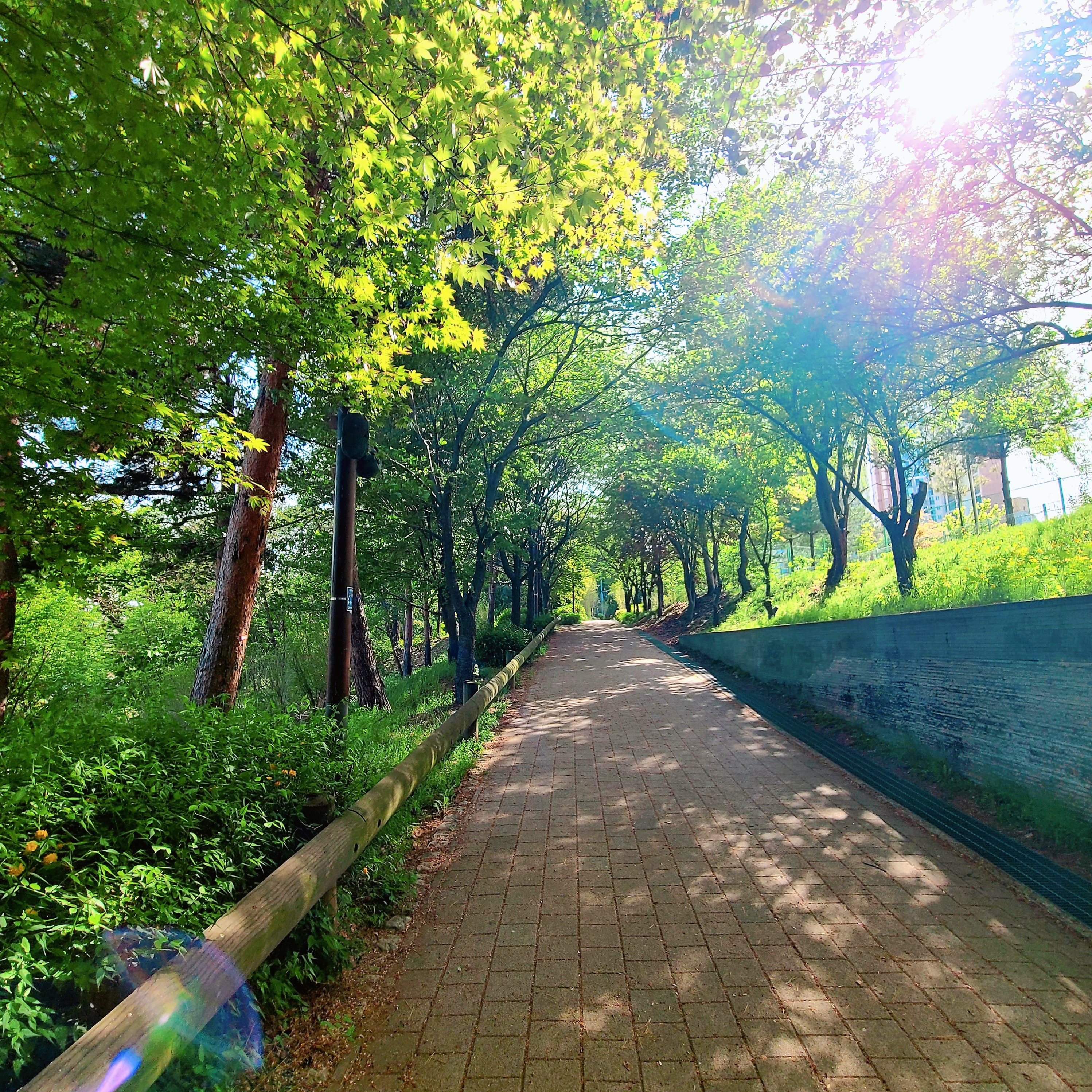 Sanrio Hello Kitty Hula Kiss 4" Hawaii Series Plush 착용 스타일 - 1