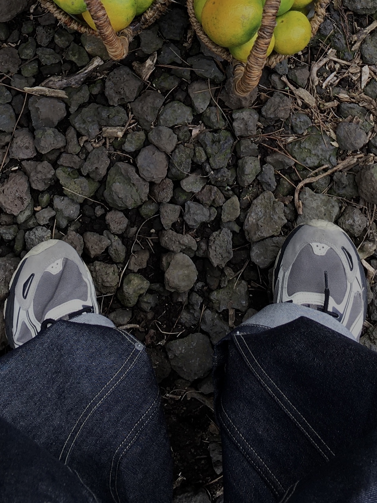 Asics Gel-Venture 6 Mink Vanila 착용 스타일