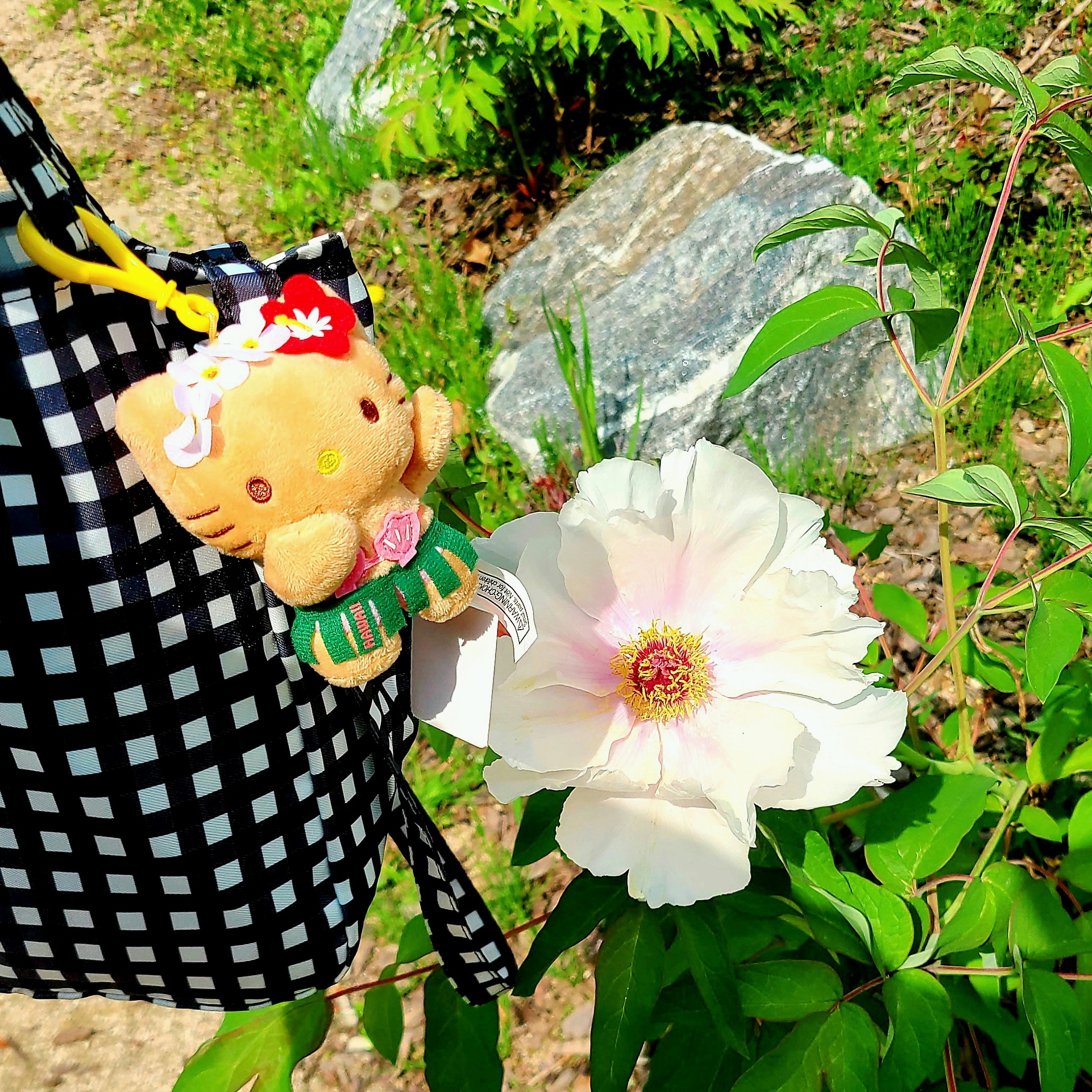 Sanrio Hello Kitty Hula Kiss 4" Hawaii Series Plush 착용 스타일 - 3